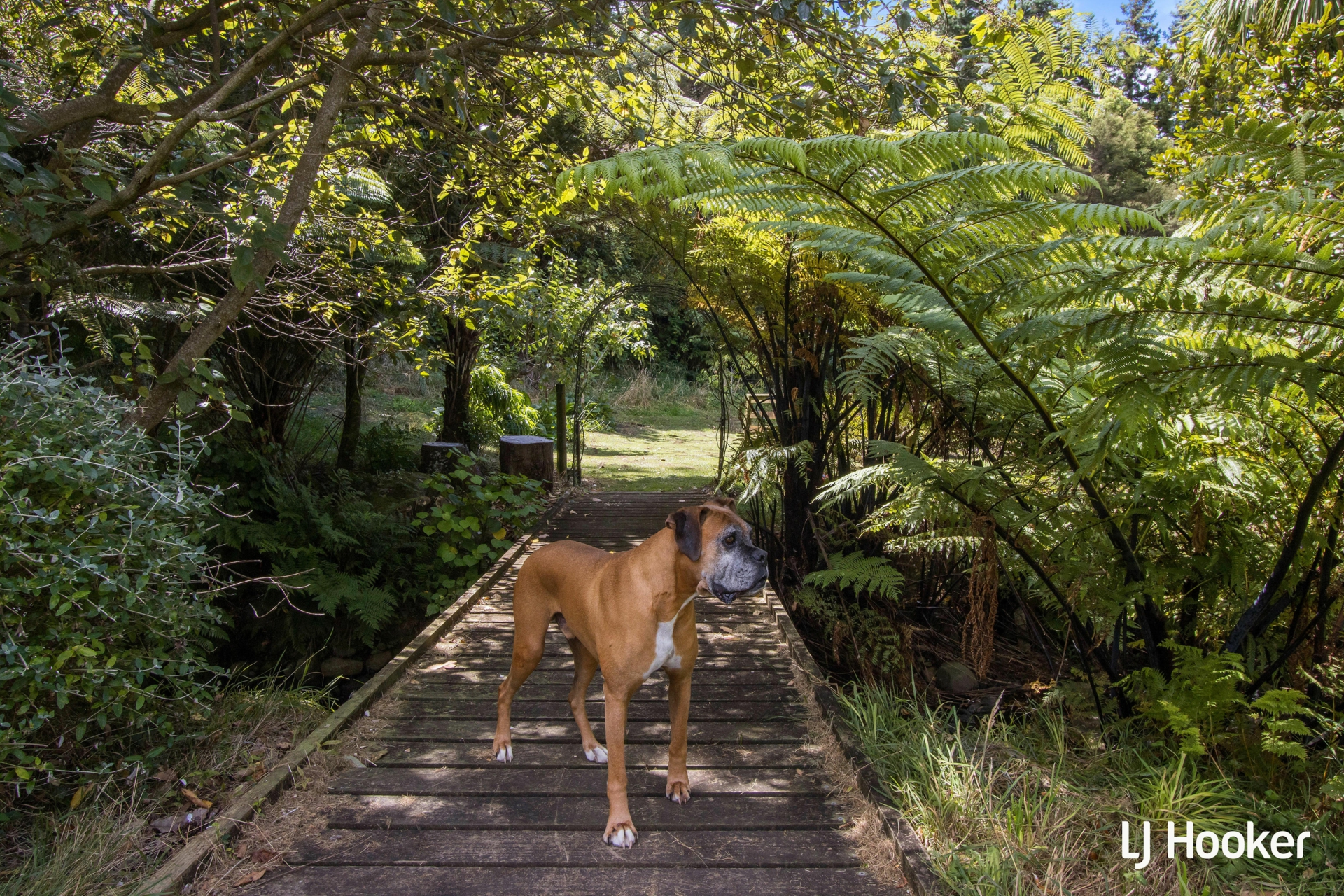 325c Rea Road, KATIKATI