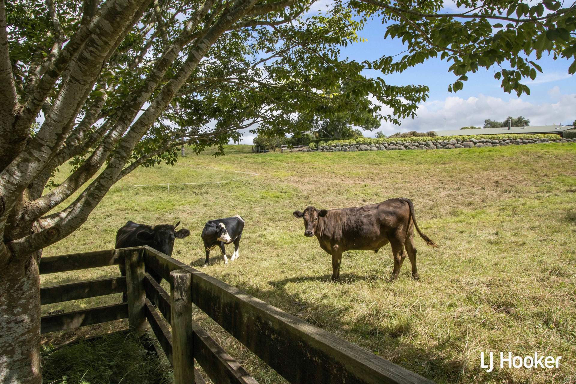 325c Rea Road, KATIKATI