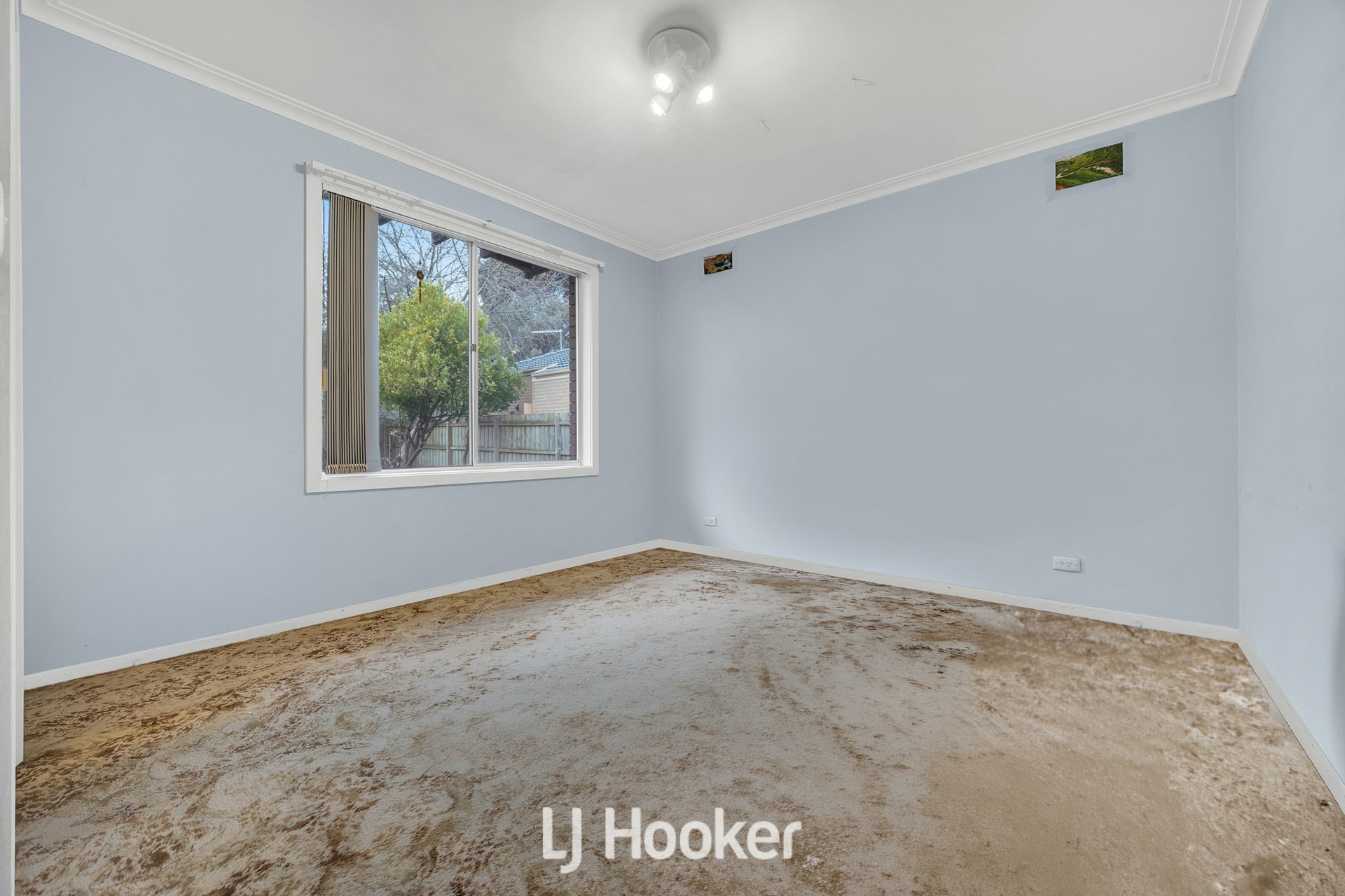 88 Rebecca Street — photo 11 of 20
