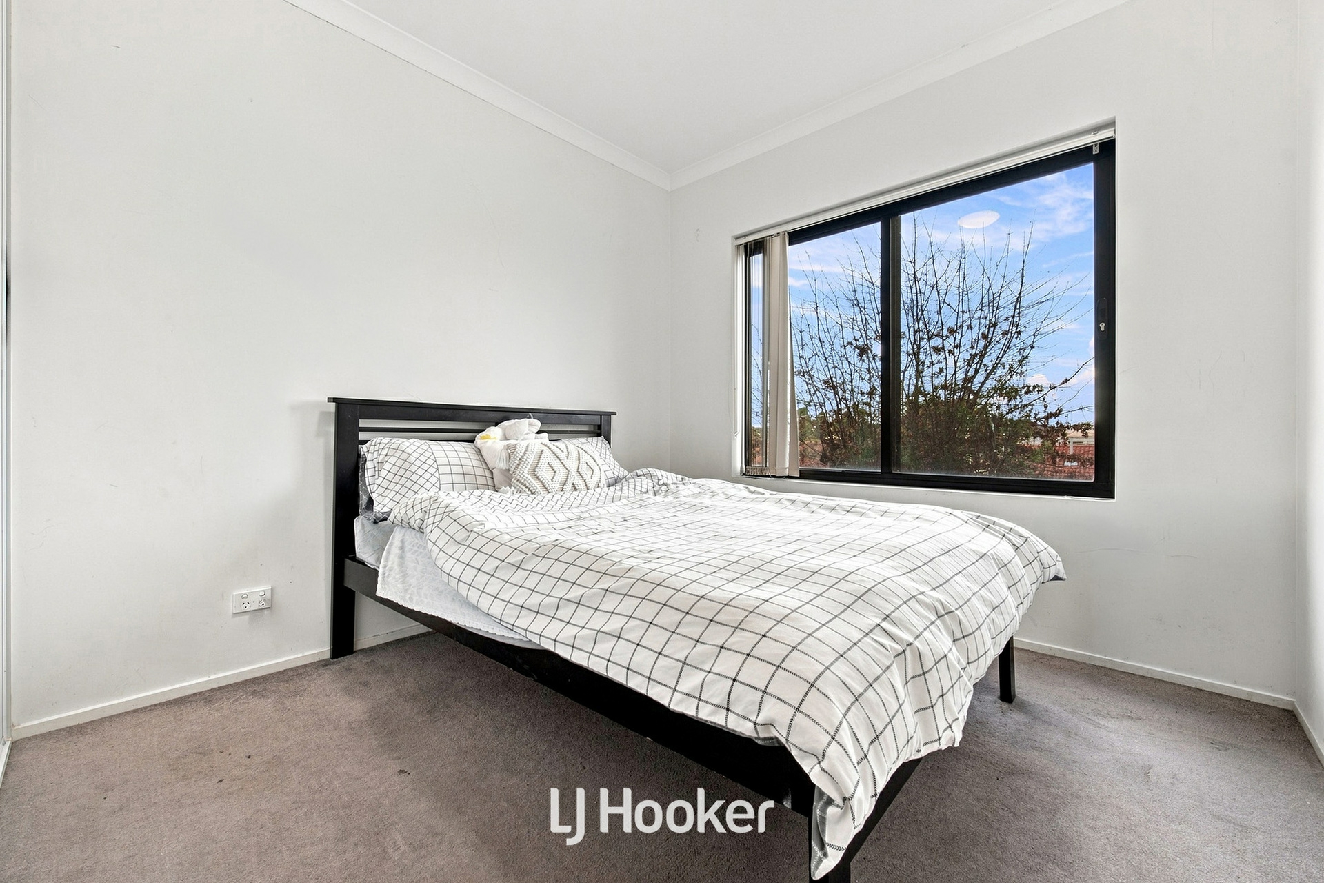 8/69 Clow Street — photo 6 of 15