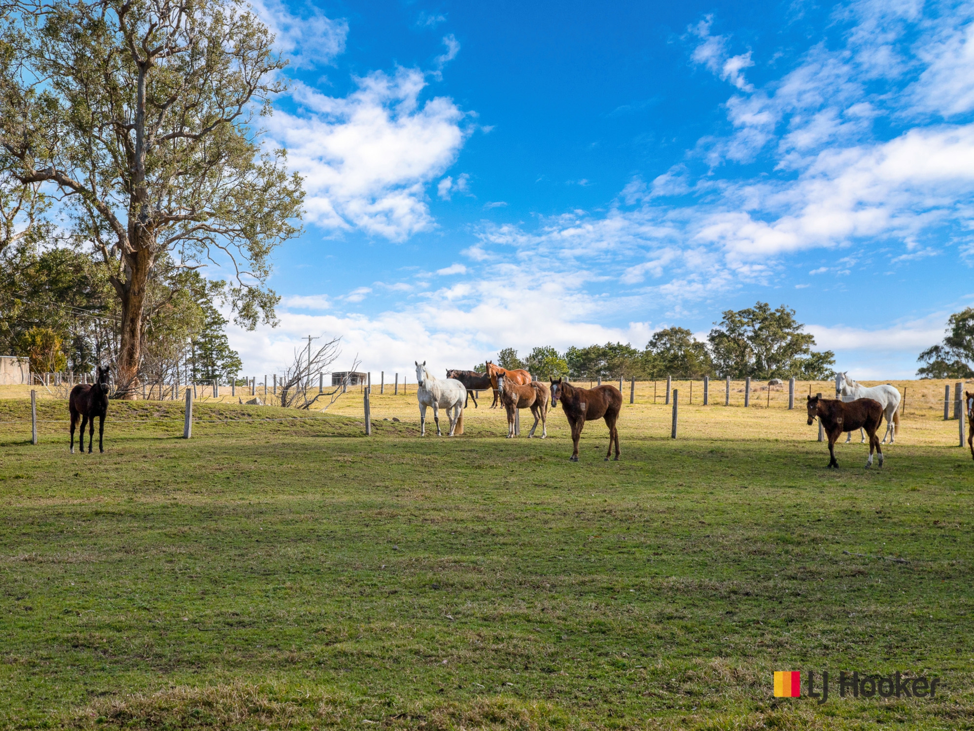 470 Larrys Mountain Road, MOGENDOURA
