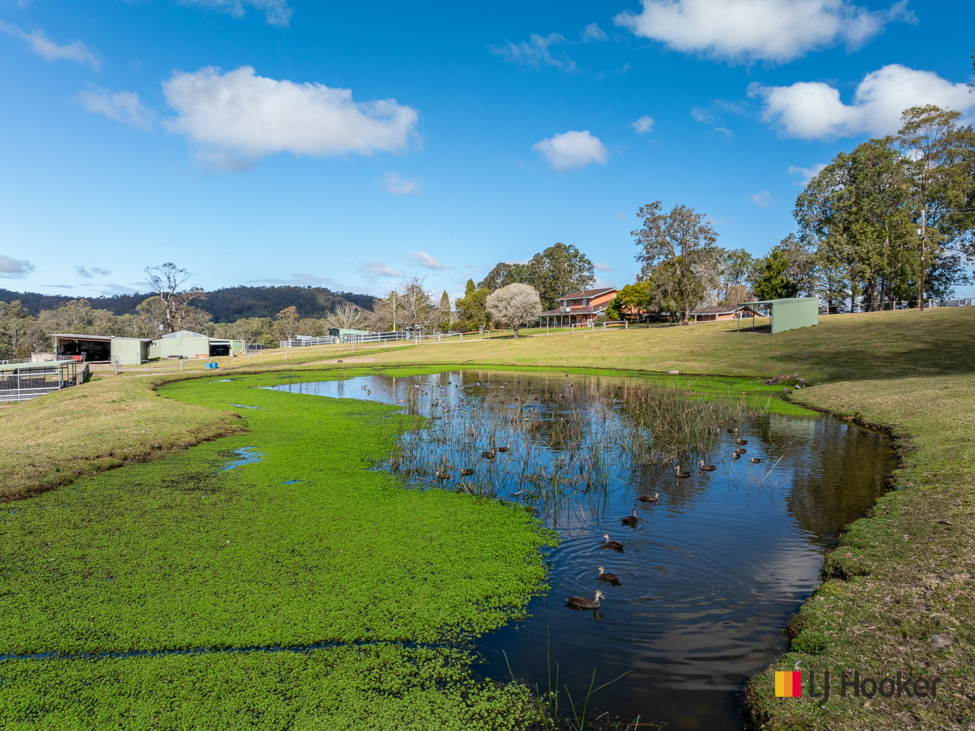 470 Larrys Mountain Road, MOGENDOURA