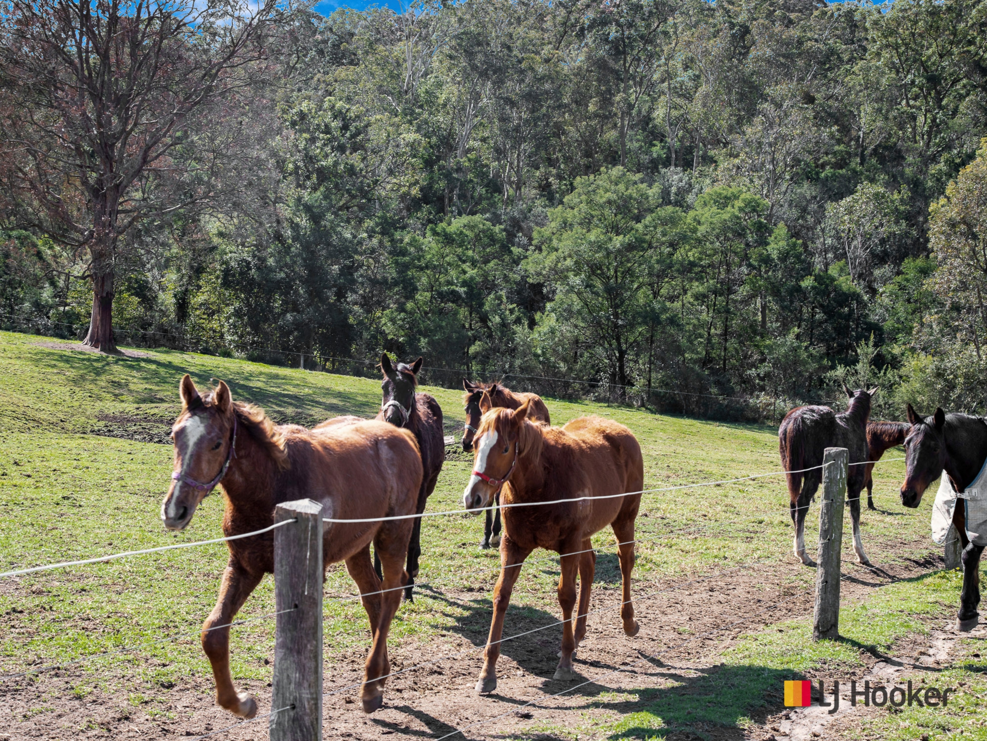 470 Larrys Mountain Road, MOGENDOURA