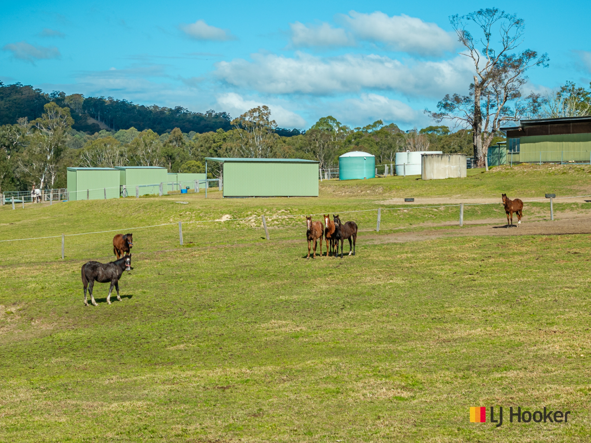 470 Larrys Mountain Road, MOGENDOURA