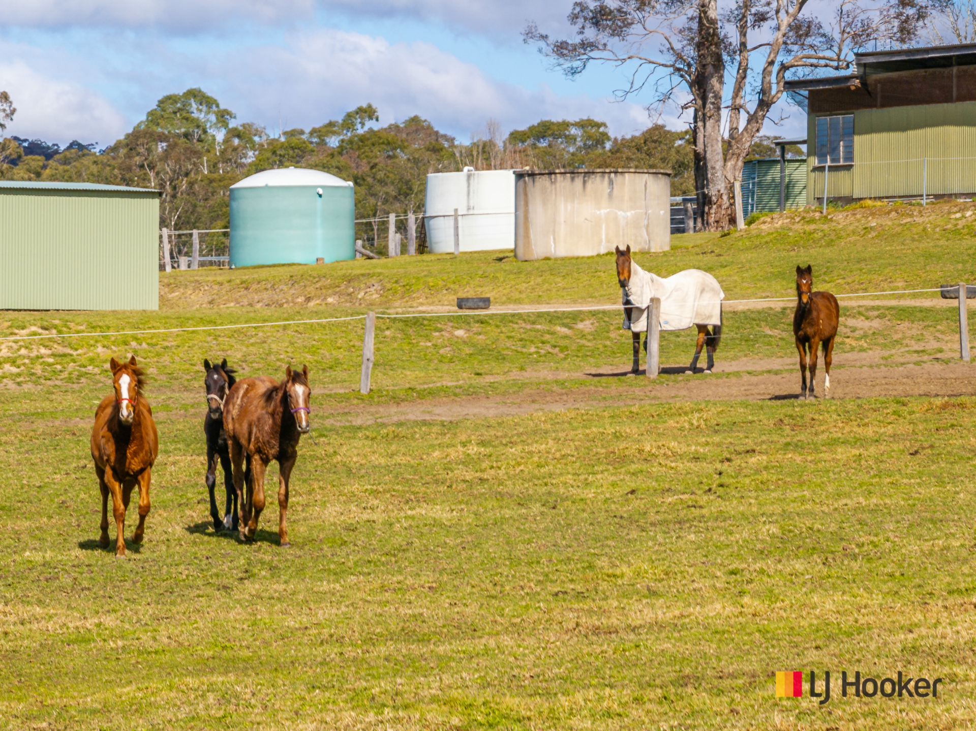 470 Larrys Mountain Road, MOGENDOURA
