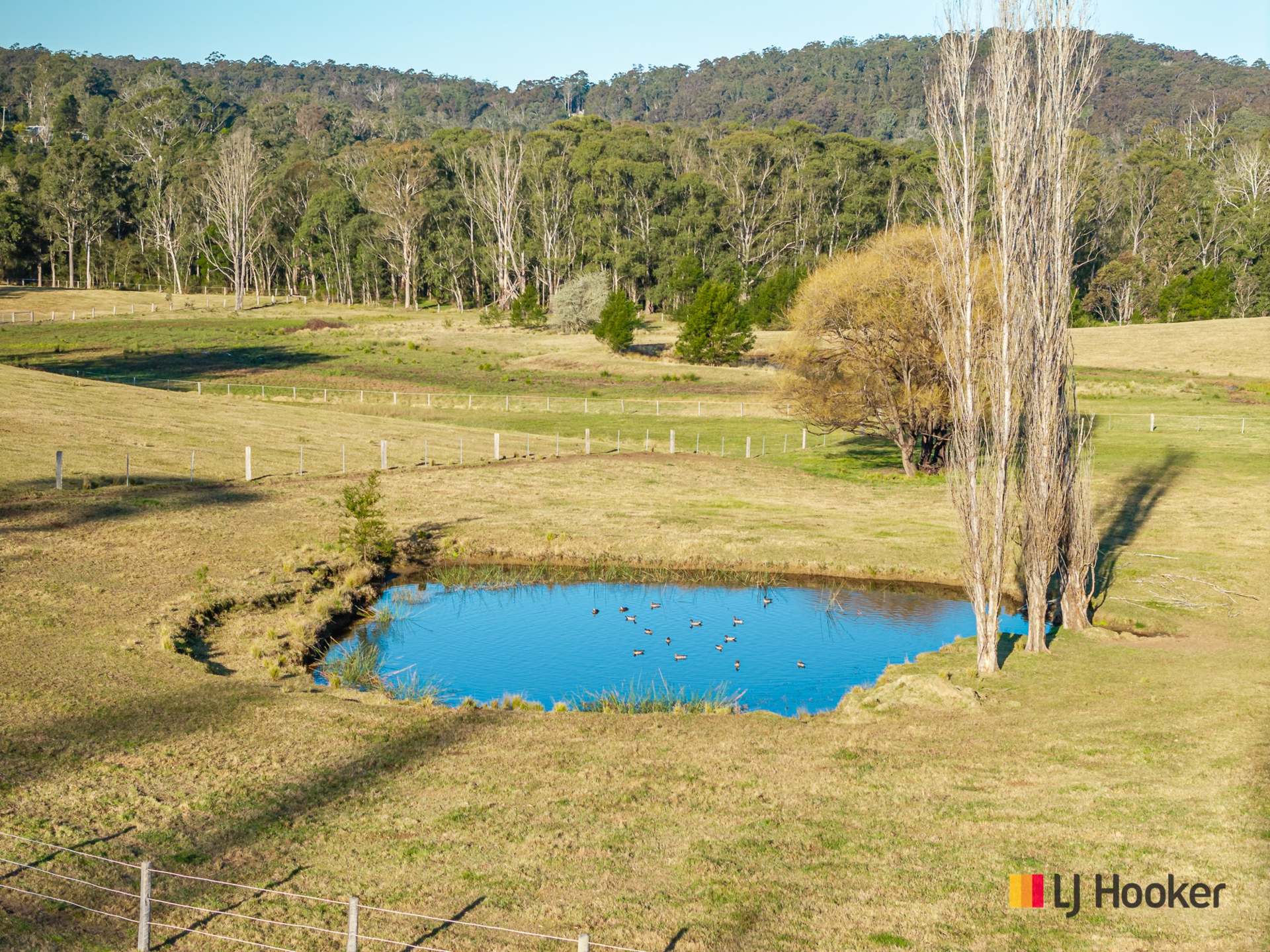 470 Larrys Mountain Road, MOGENDOURA