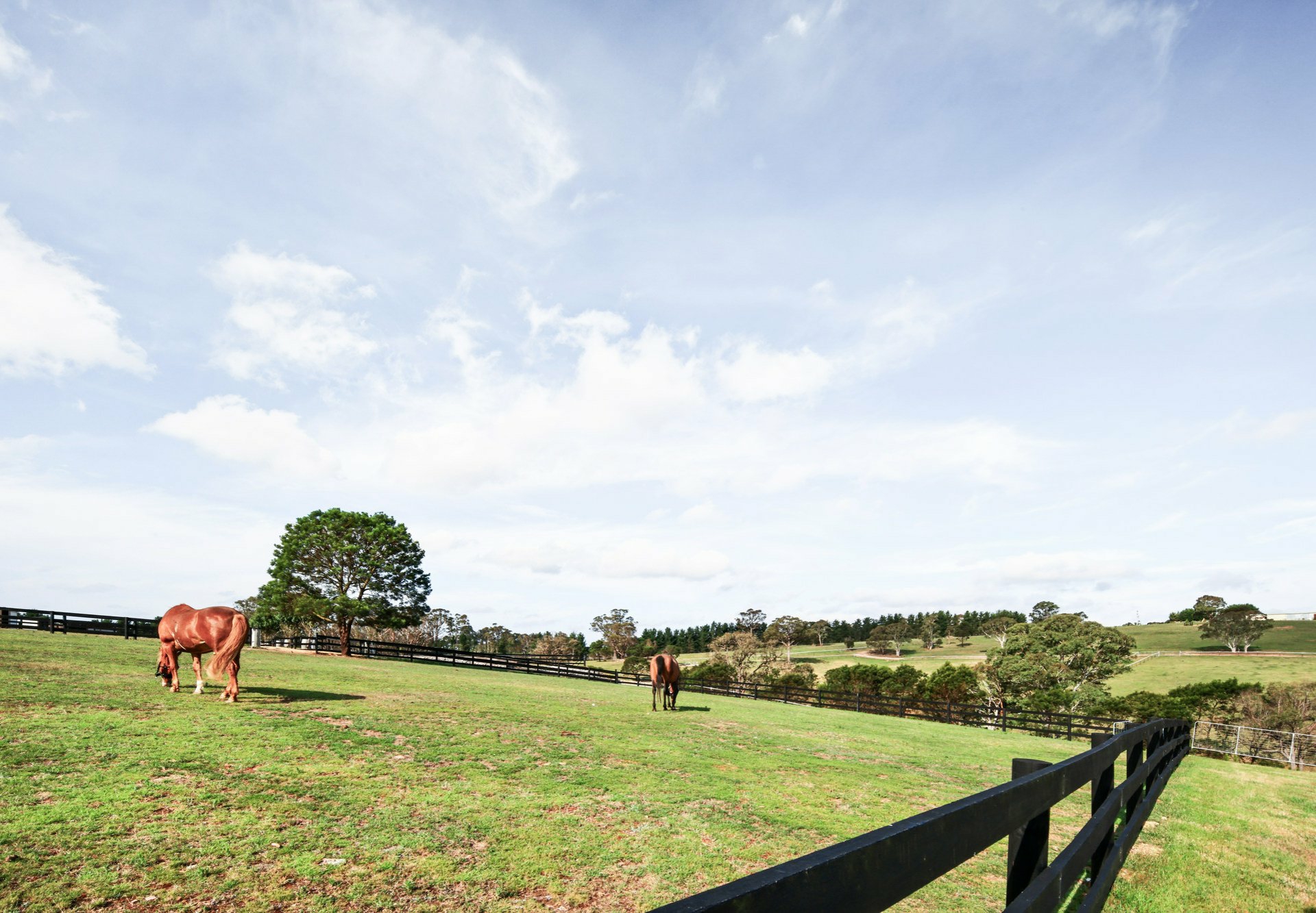 288 Tiyces Lane, BOXERS CREEK