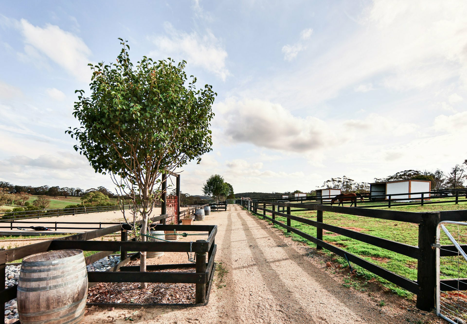 288 Tiyces Lane, BOXERS CREEK