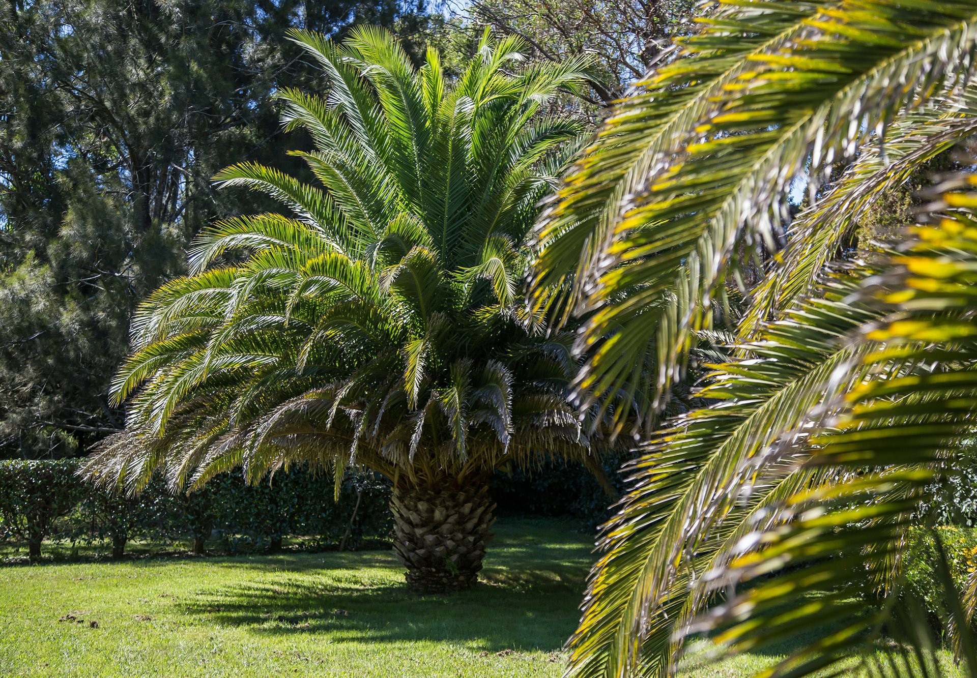 619 Moss Vale Road, BURRADOO