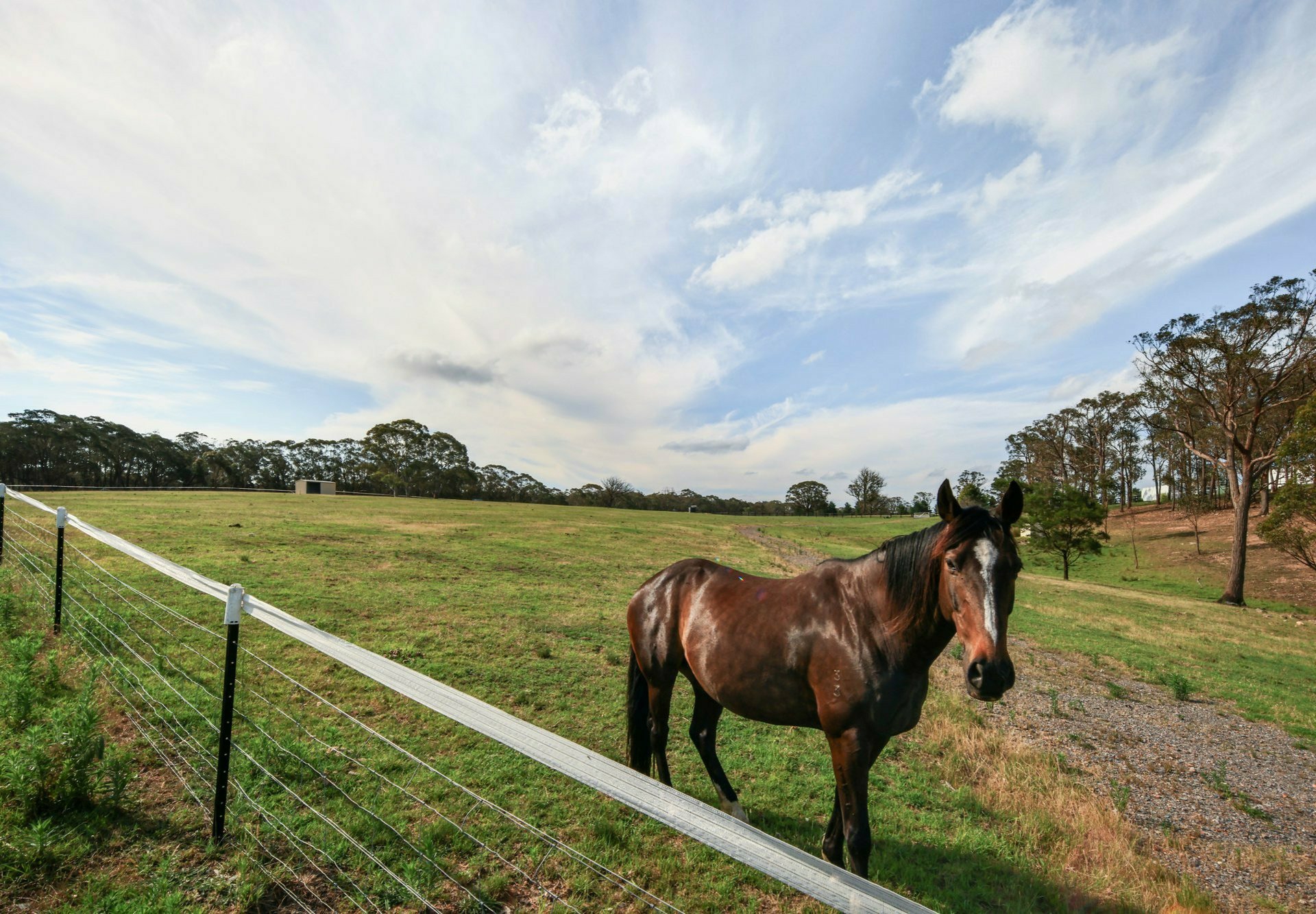 288 Tiyces Lane, BOXERS CREEK
