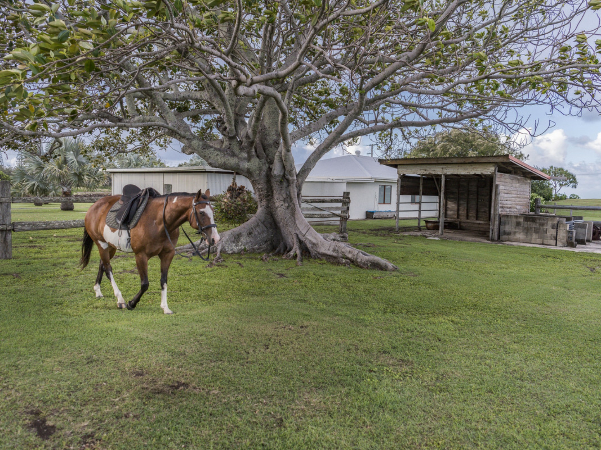 240 Shelley Street, BURNETT HEADS