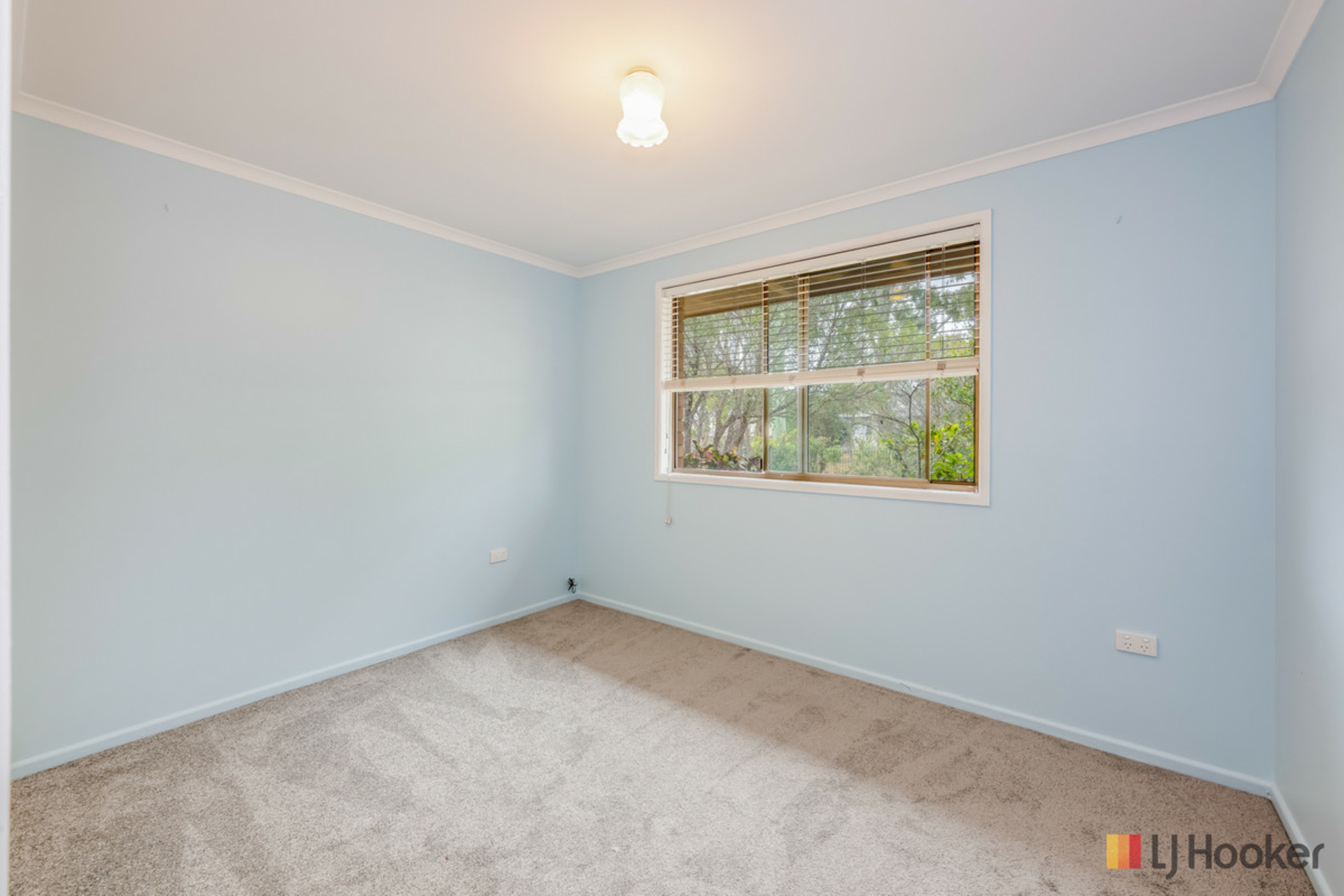 4 Olive Drive — photo 12 of 21