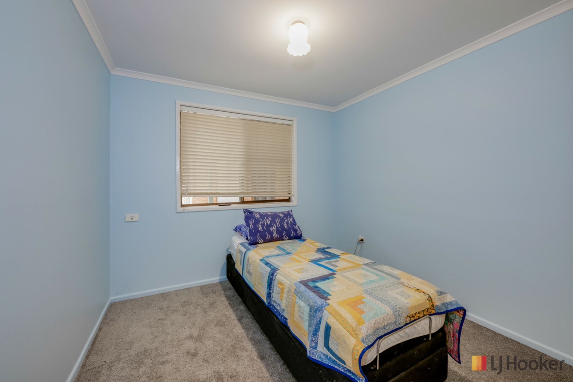 4 Olive Drive — photo 14 of 21
