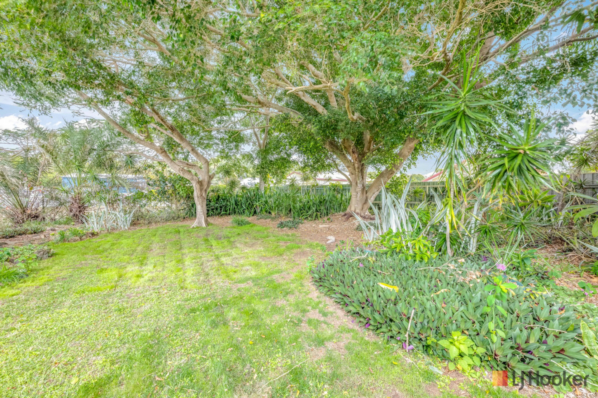 4 Olive Drive — photo 19 of 21