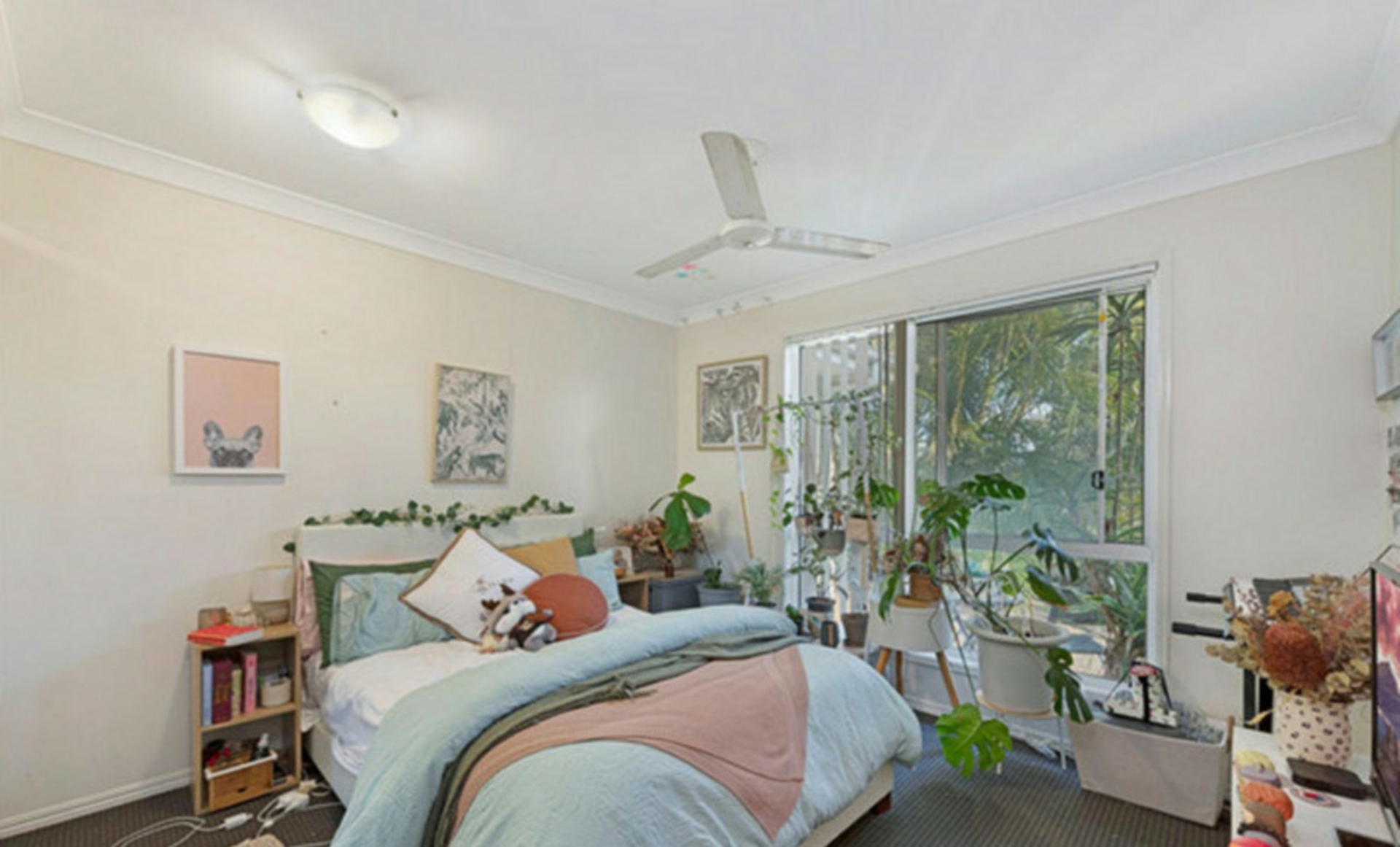 6 Firefly Street — photo 7 of 12