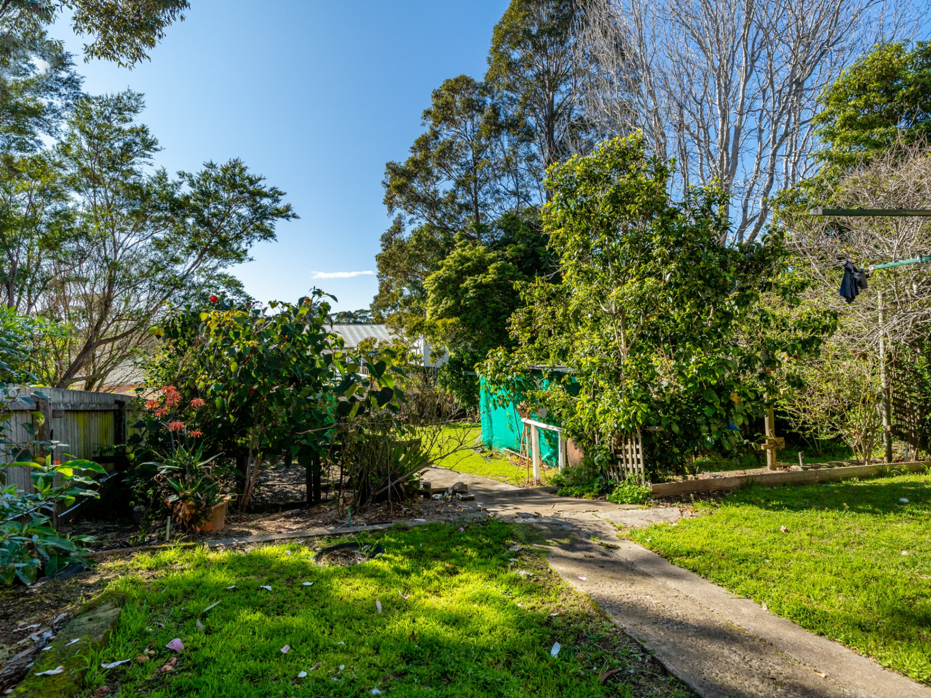 22 Coogee Street, TUROSS HEAD