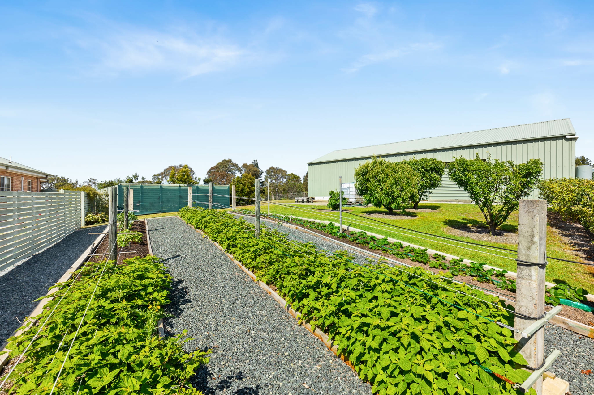 8 Mountain View Road, MORUYA