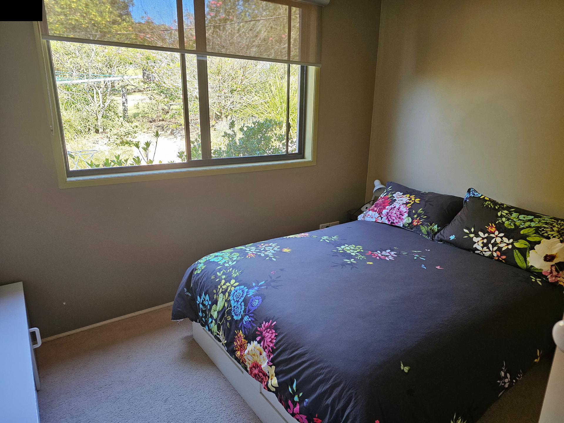 29 Kiora Street, MORUYA