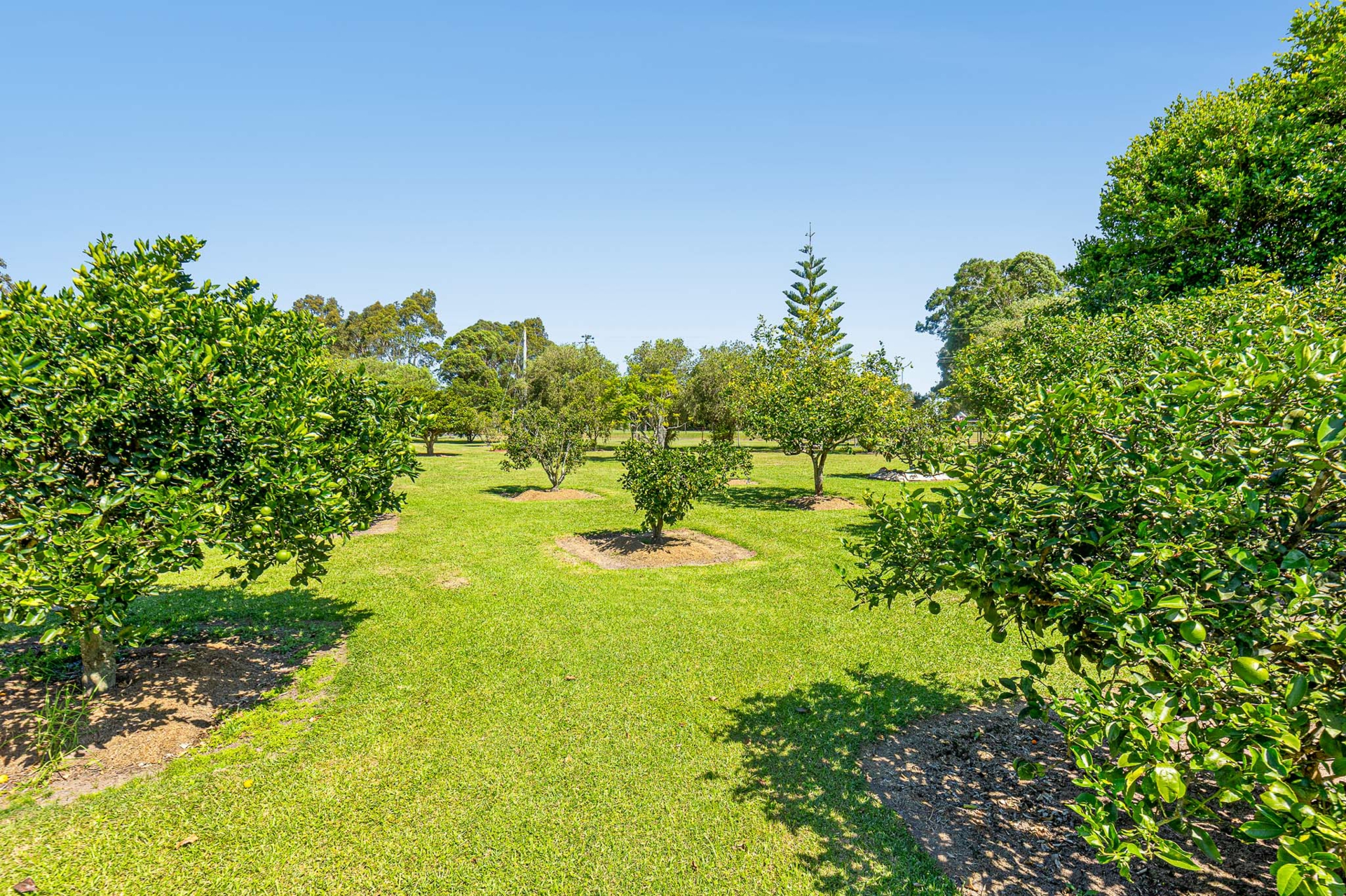11A Glenduart Grove, MORUYA
