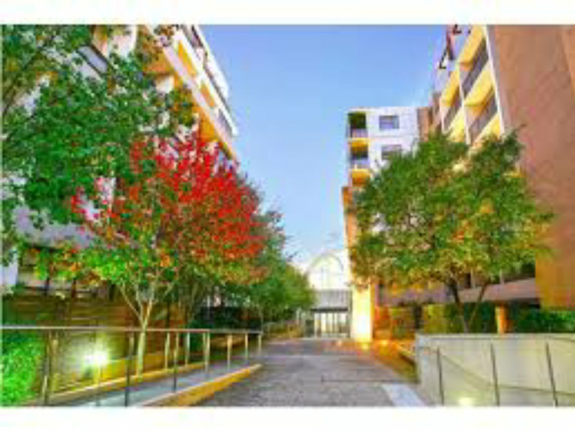 P405/287 Pyrmont Street, PYRMONT