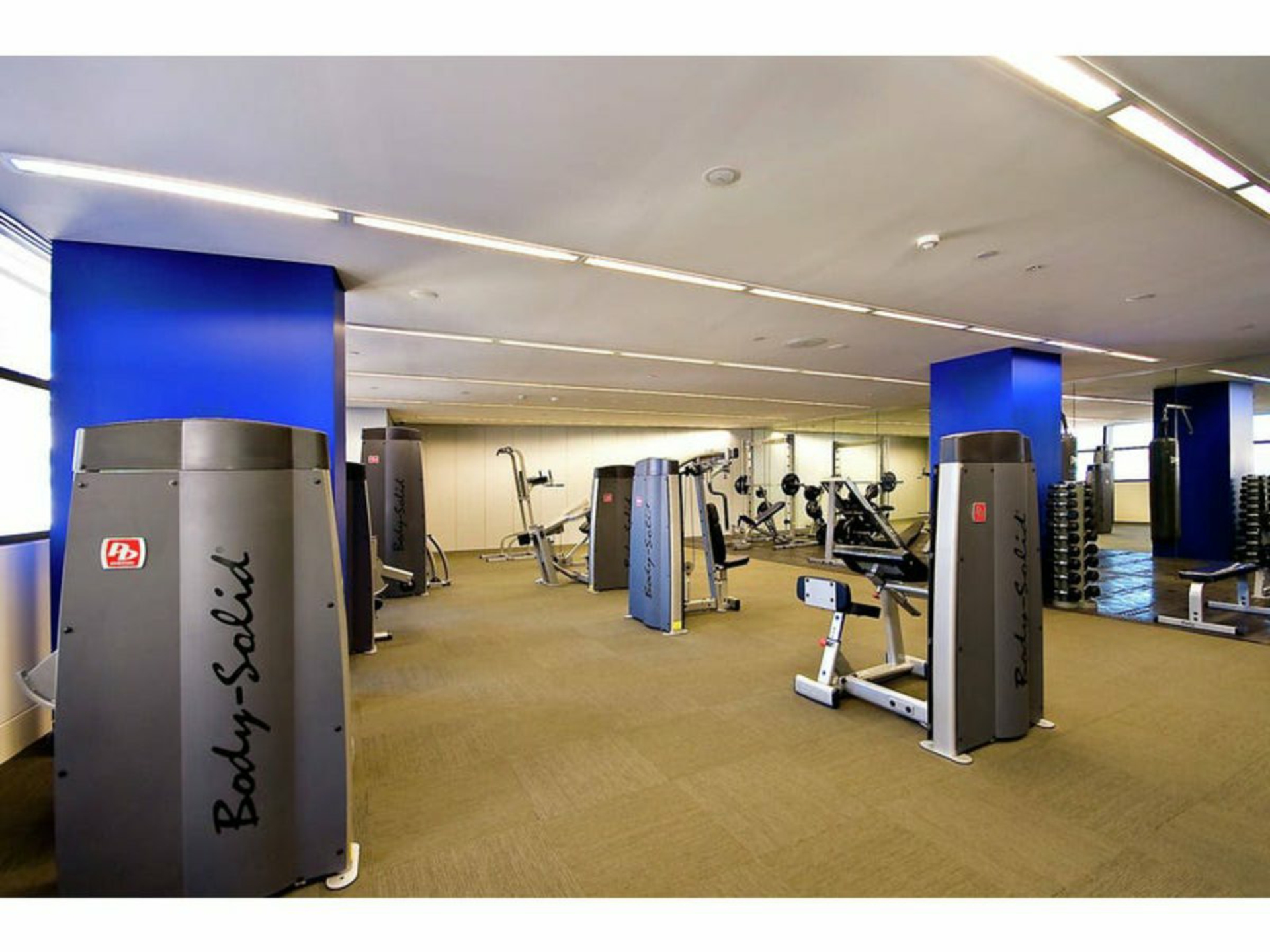 Level 34, 101 Bathurst Street, SYDNEY