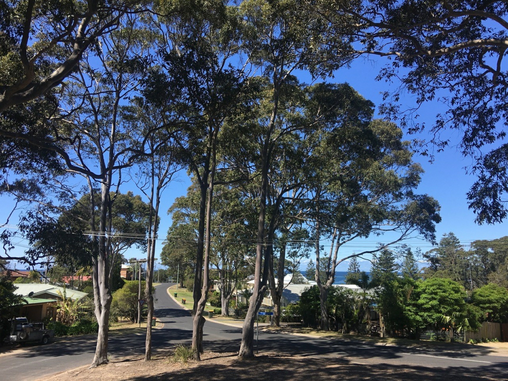 1 Banyandah Street — photo 3 of 21
