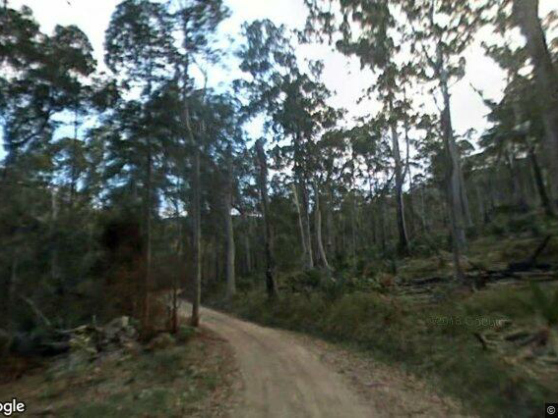 24 Paradise Road Nelligen NSW Property Details LJ Hooker