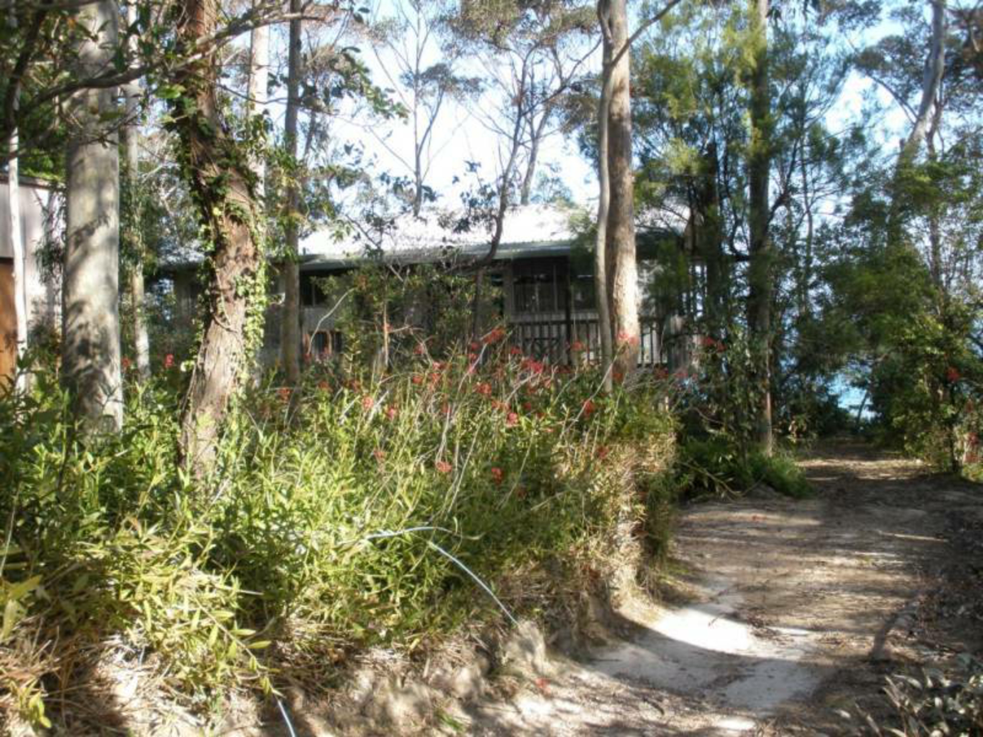 9 Fauna Avenue — photo 8 of 8