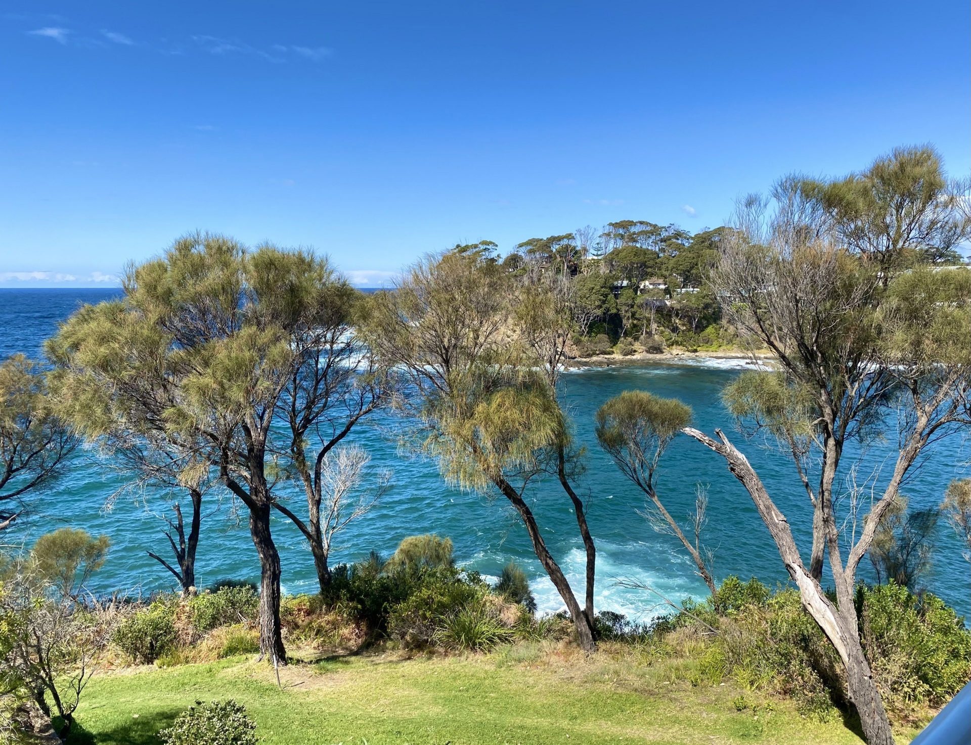 38 Iluka Avenue — photo 9 of 26