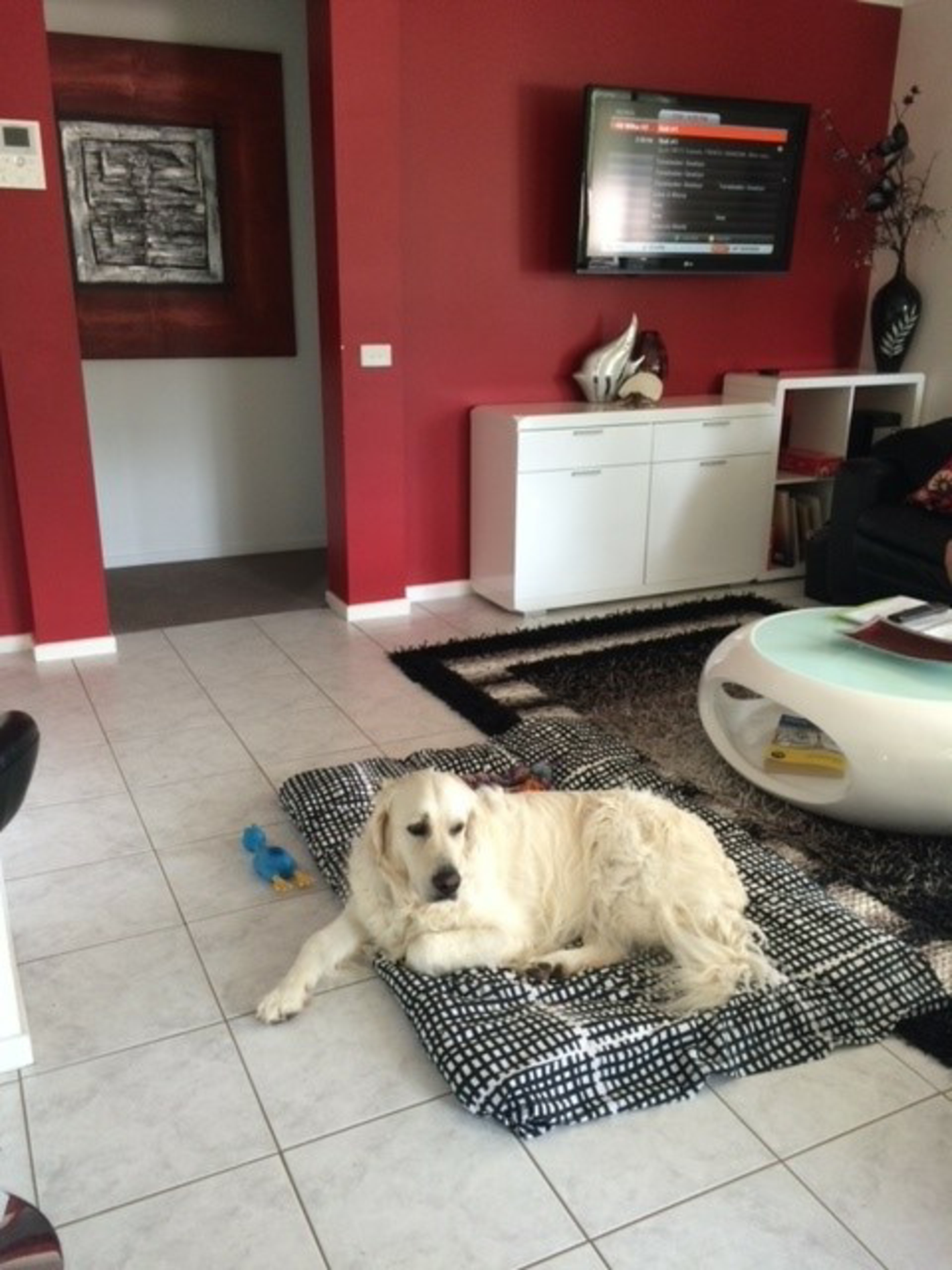 6 Barrani Place — photo 3 of 23