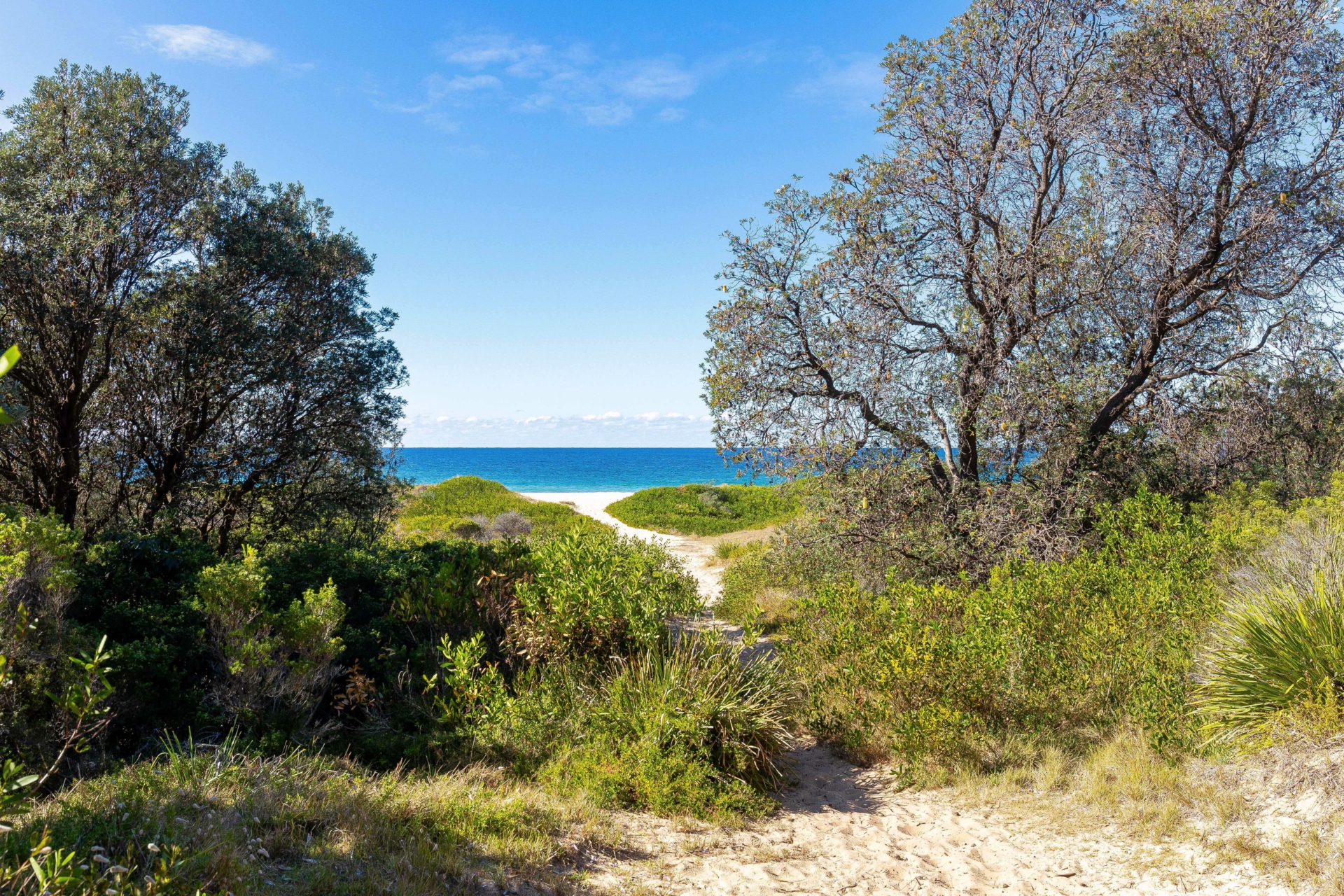 Moruya Heads, 2537