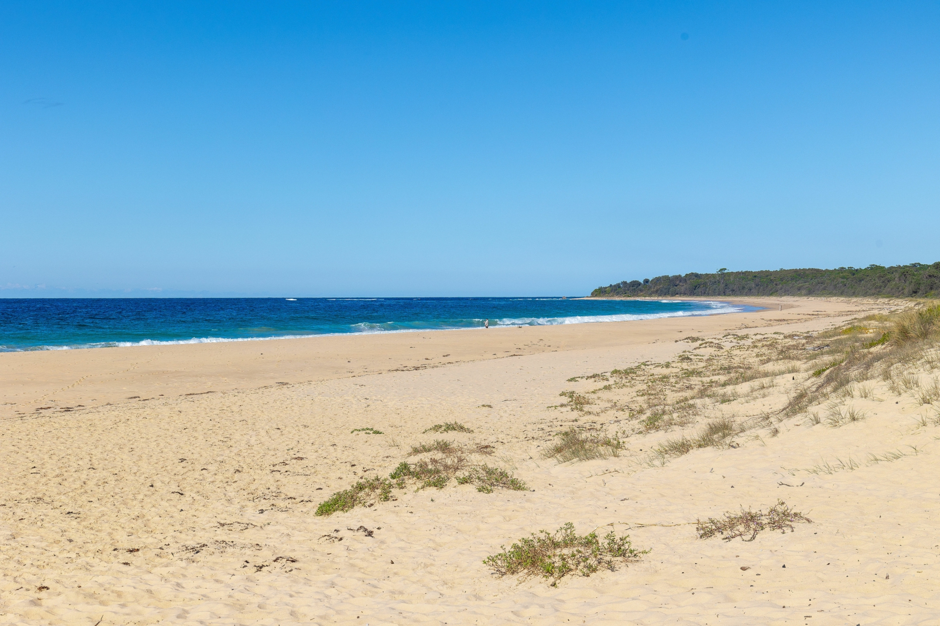 Moruya Heads, 2537