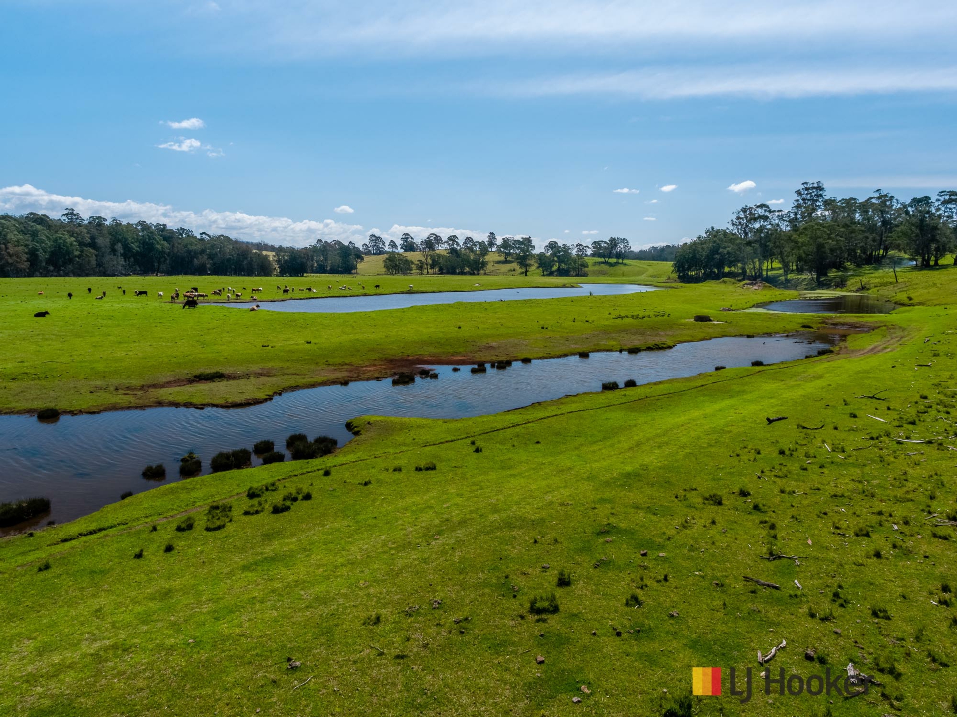1109 Princes Highway — photo 15 of 26