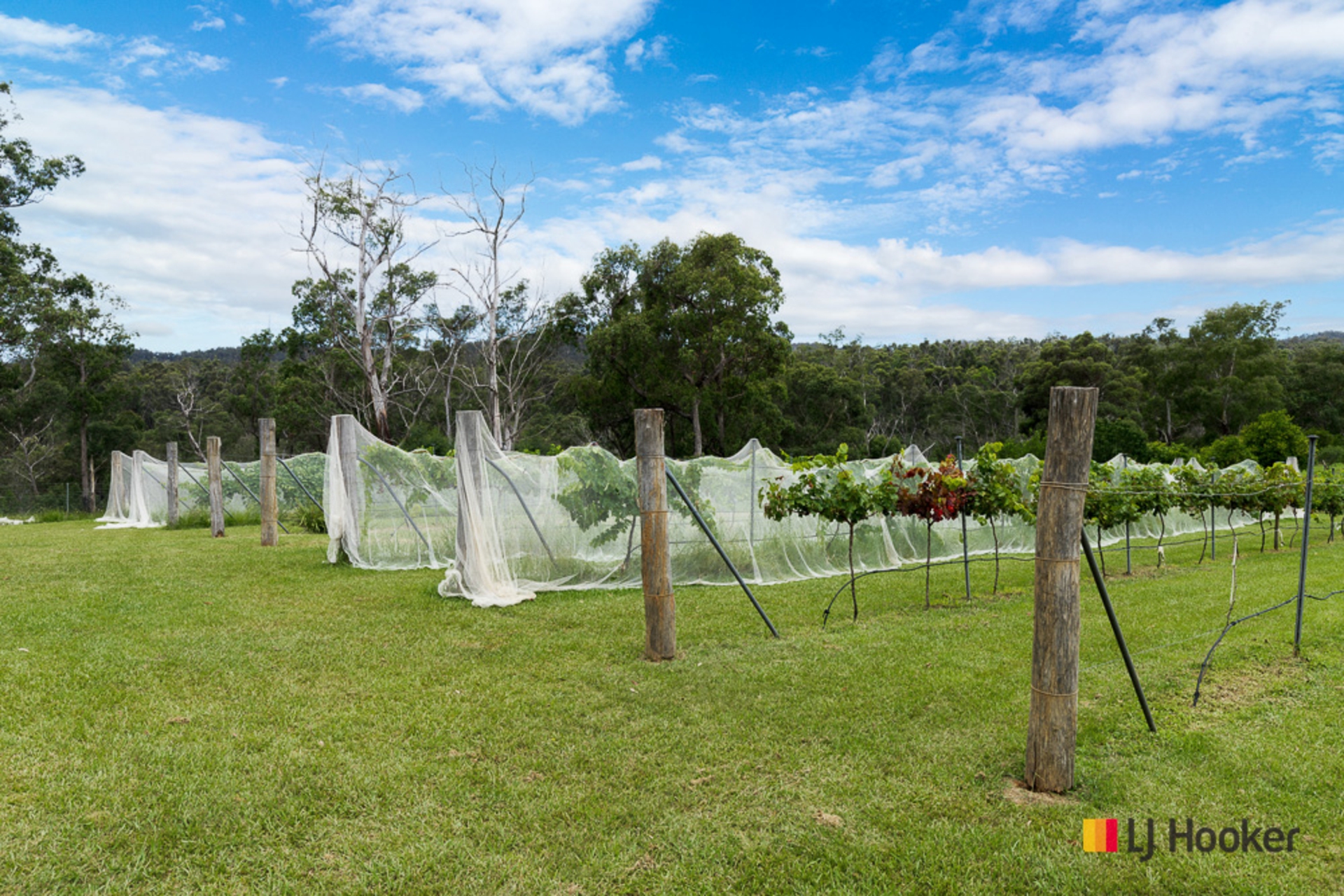 130 Allards Lane Nelligen NSW Property Details LJ Hooker