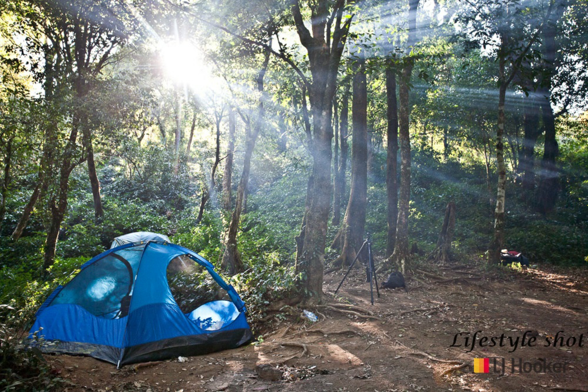 11371 Princes Highway North Batemans Bay NSW AcreageSemirural for Sale LJ Hooker