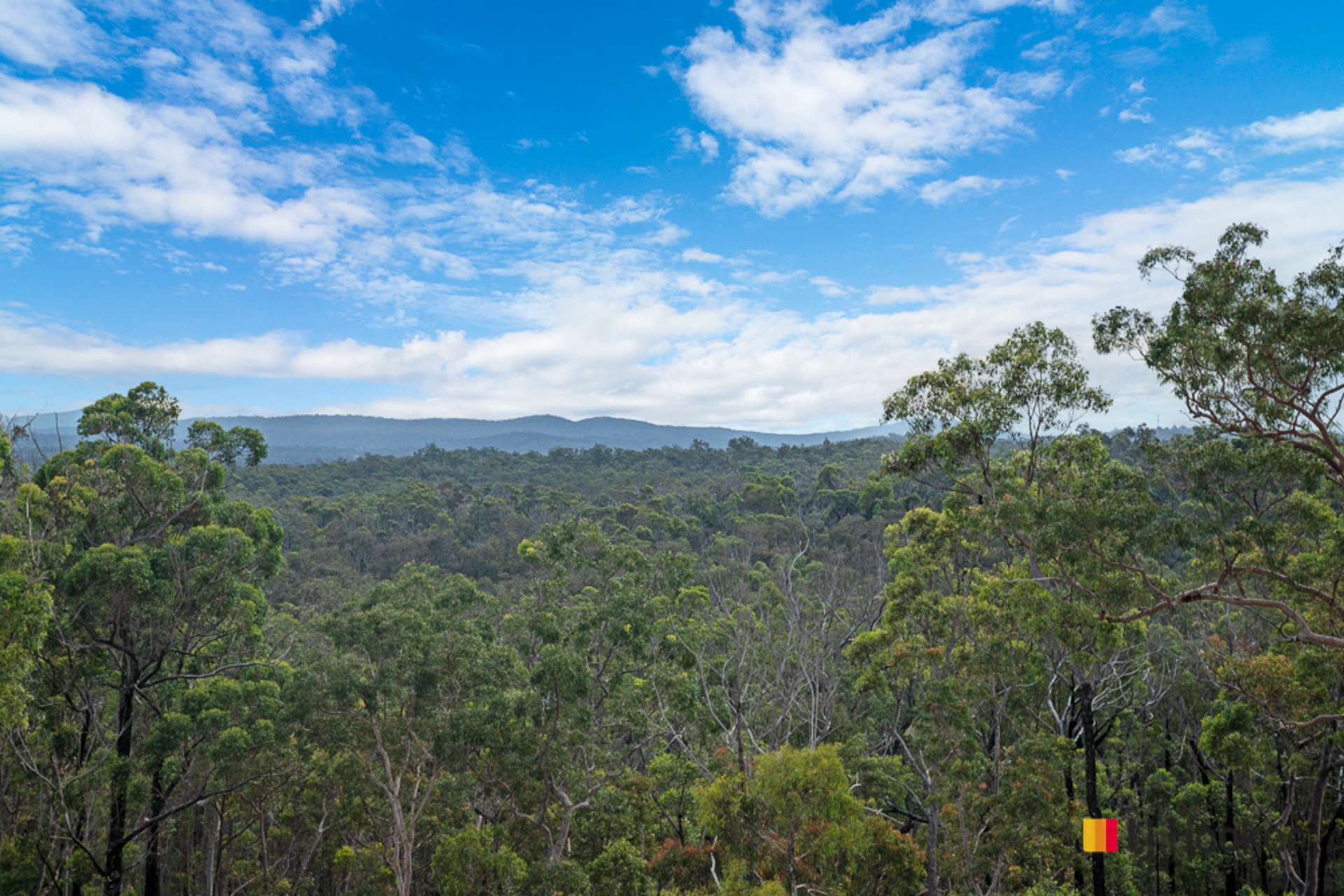 924 Dwyers Creek Road, MORUYA