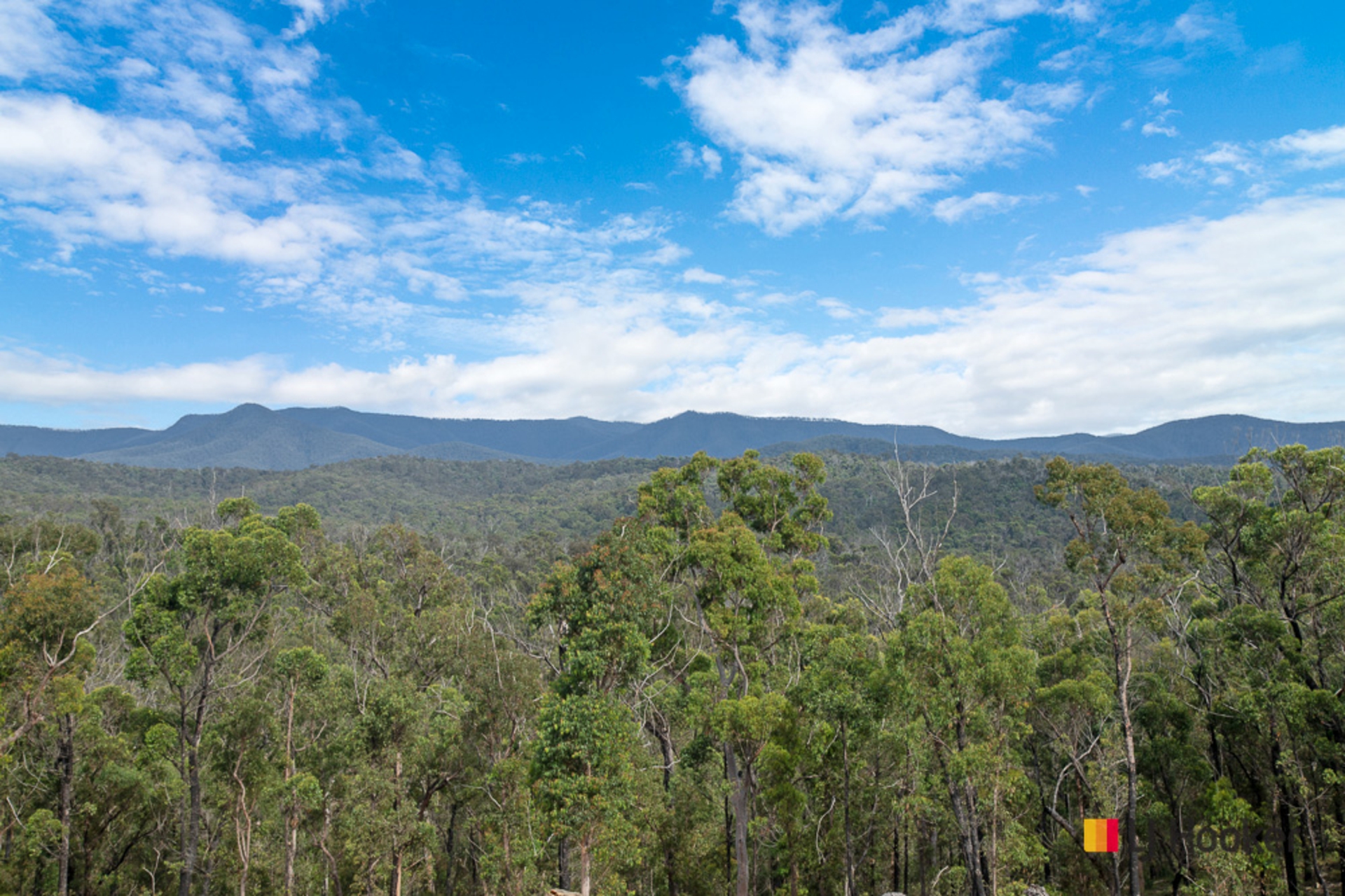 924 Dwyers Creek Road, MORUYA