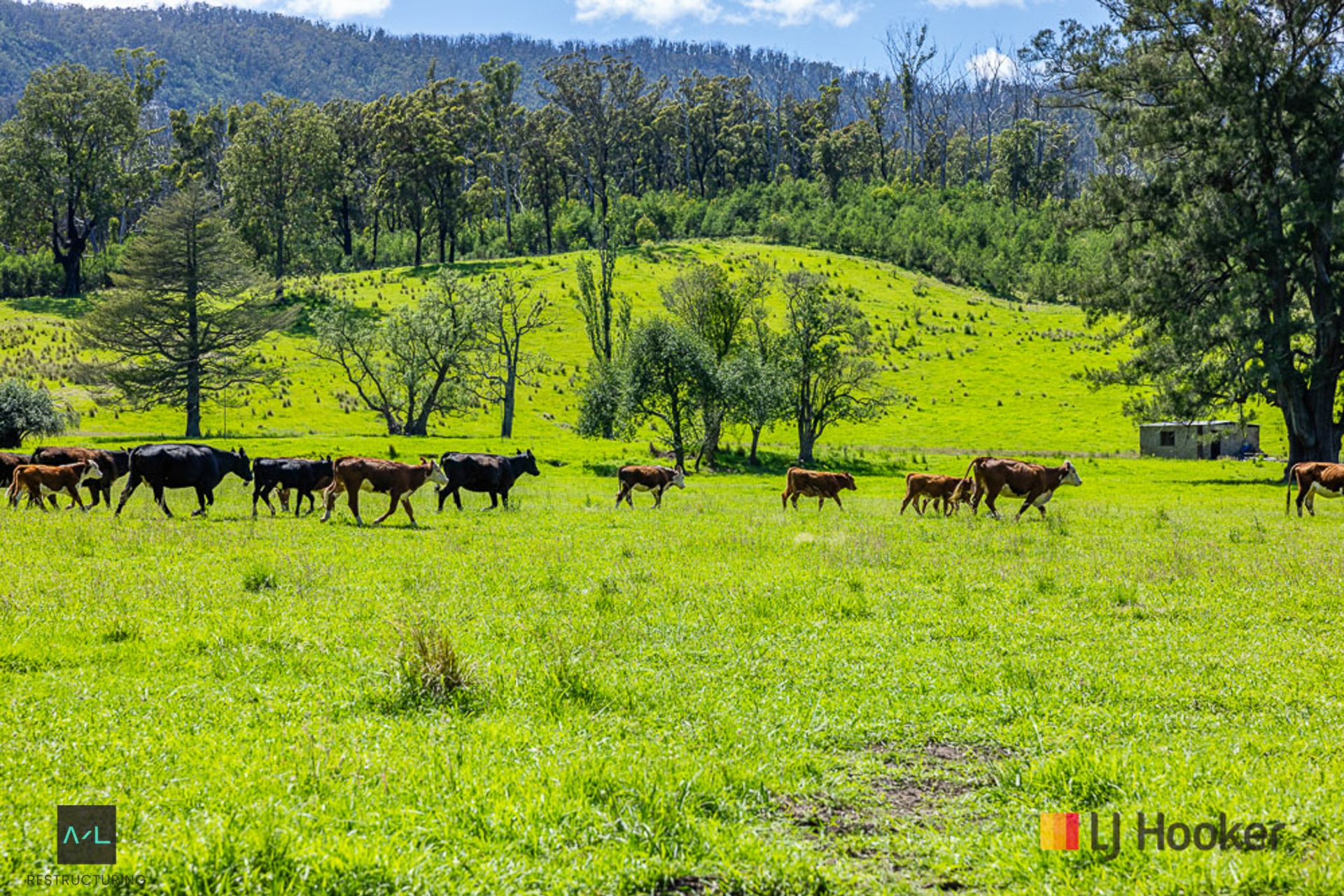 1325 Old Bolaro Road, BUCKENBOWRA
