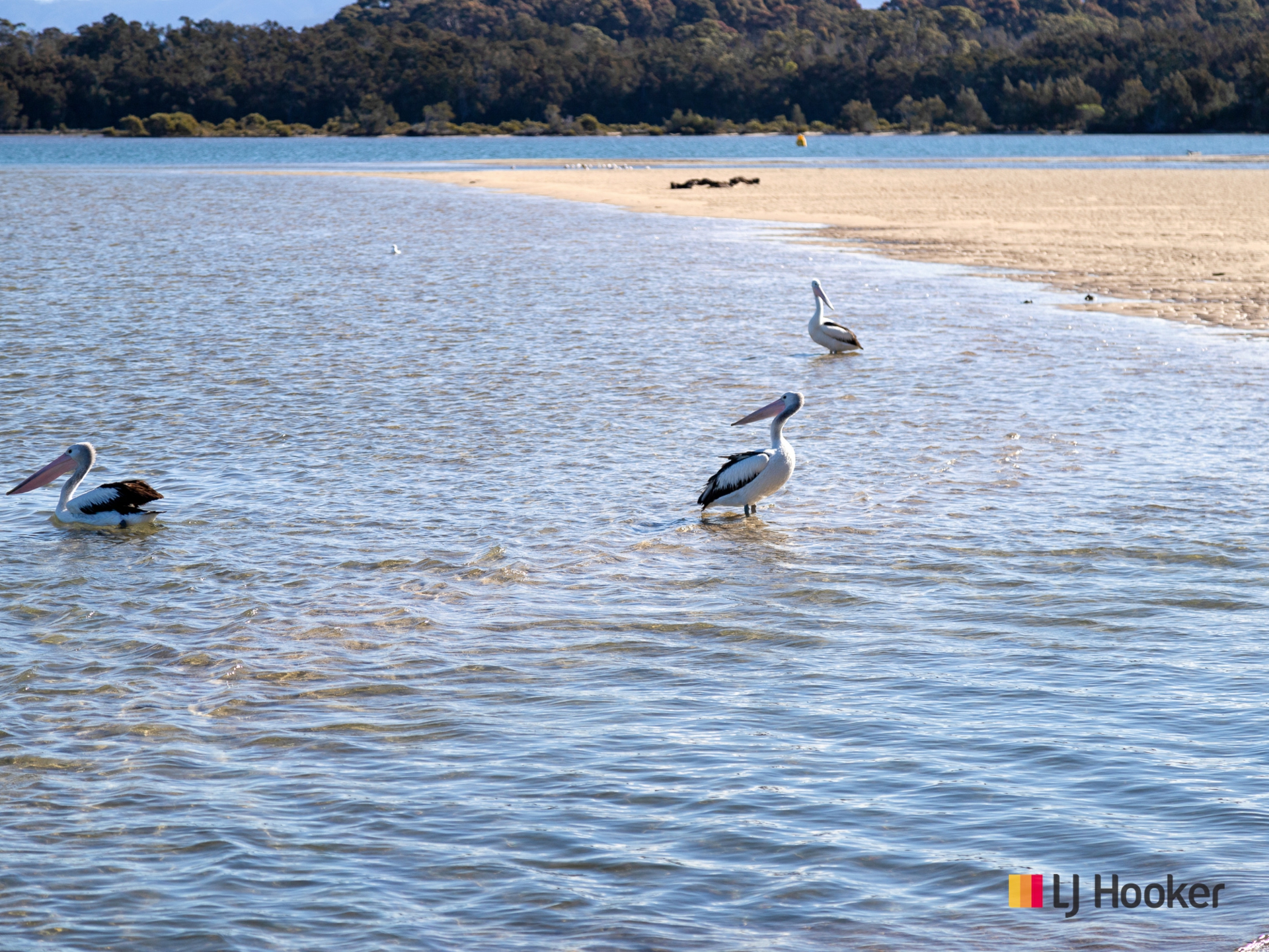 Tuross Head, 2537