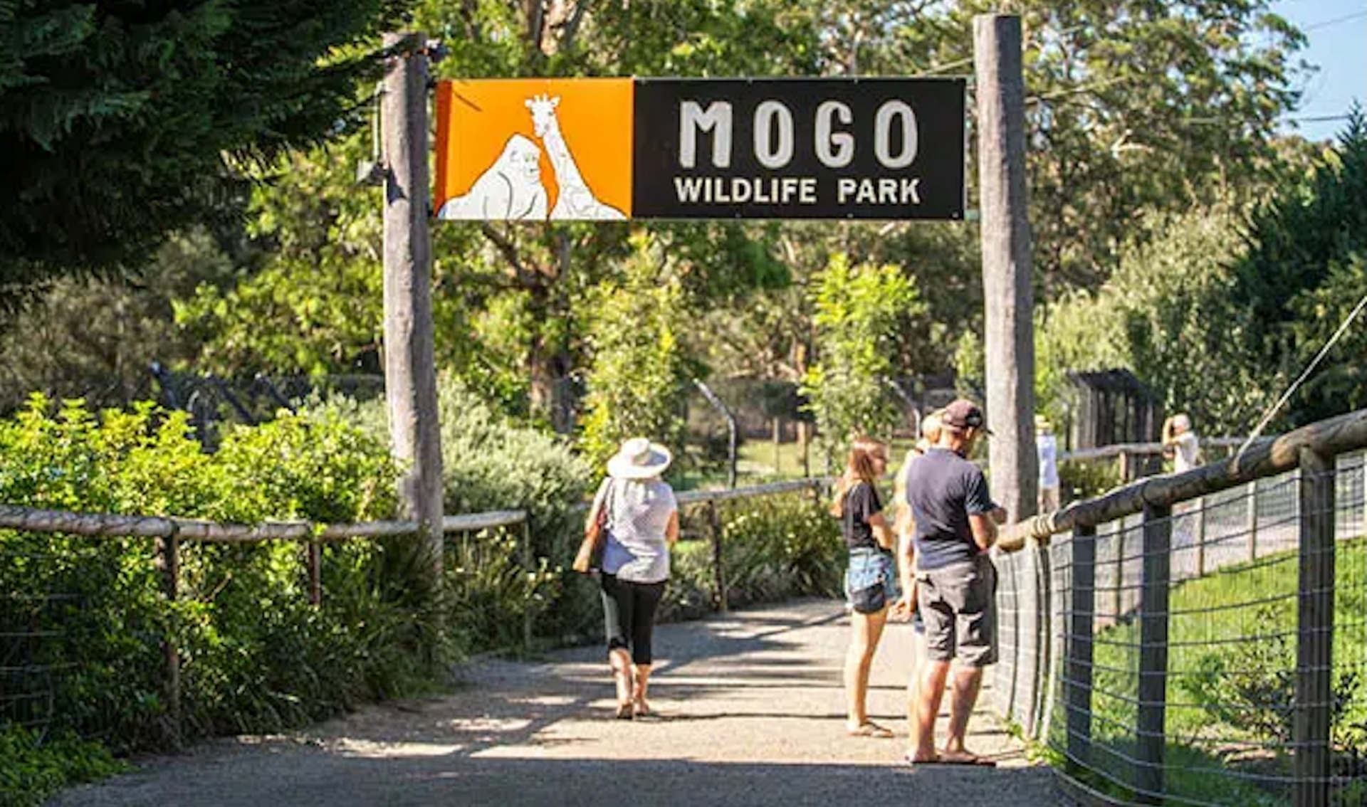 Mogo, 2536