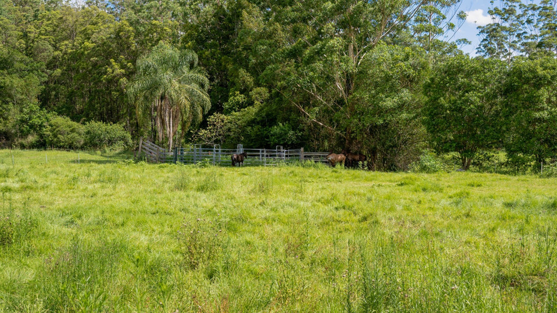 1719 Mooral Creek Road Mooral Creek NSW Property Details LJ Hooker