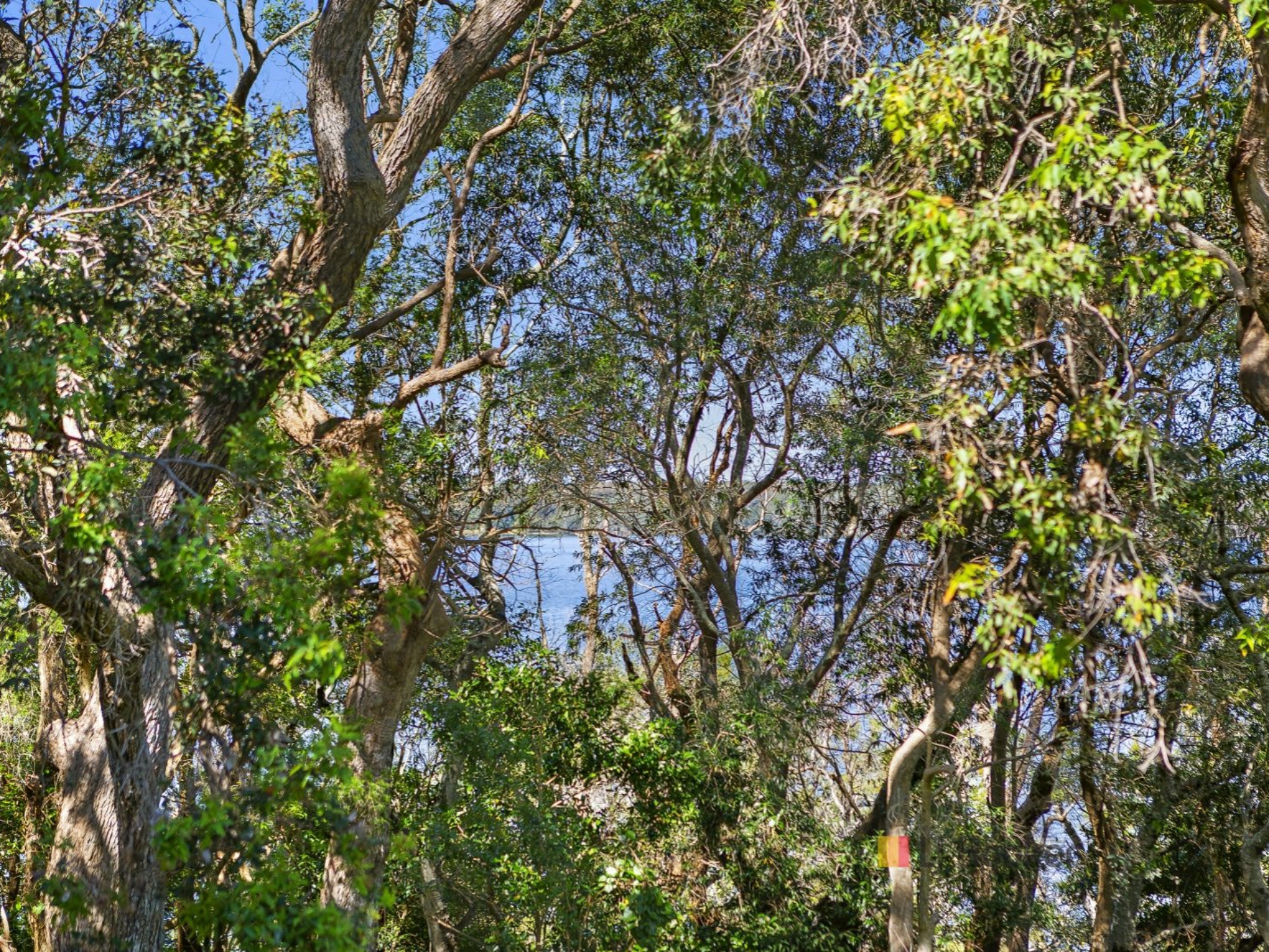 2b Harding Avenue, LAKE MUNMORAH