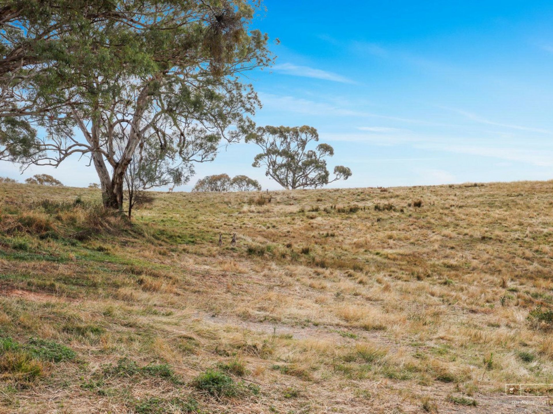 36 Shearer Drive, ROYALLA
