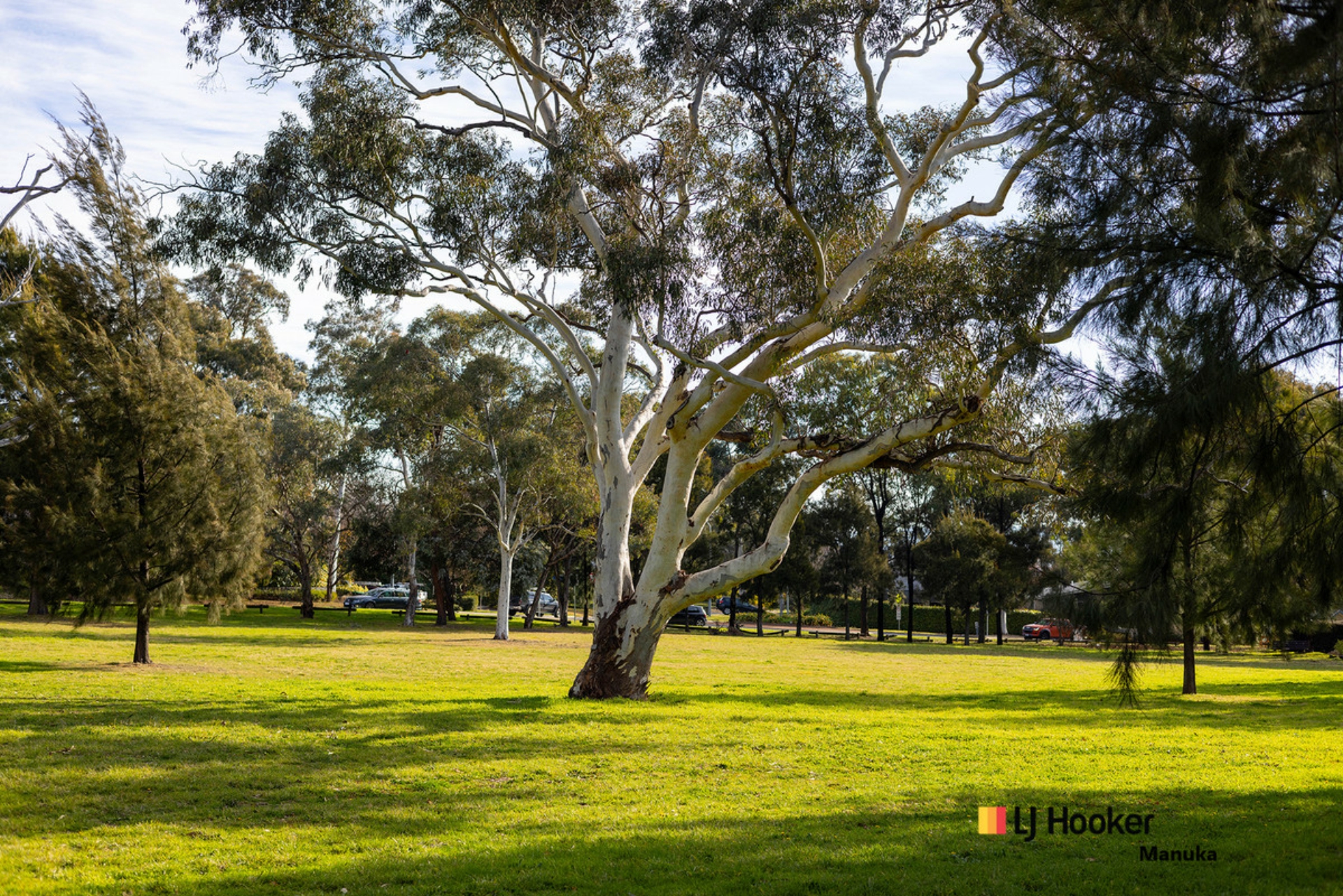 18 Bedford Street, DEAKIN
