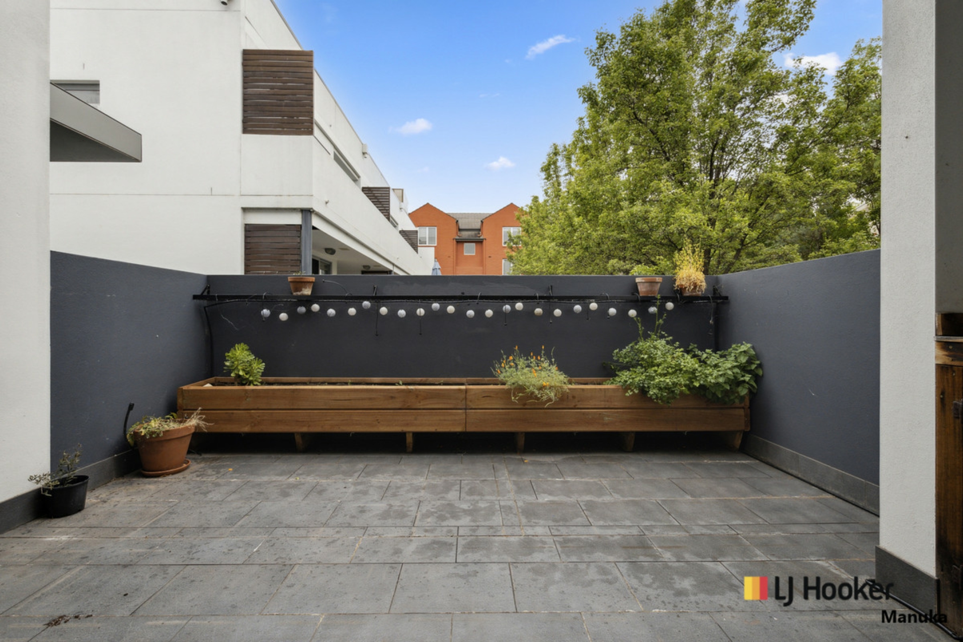 19/10 Macpherson Street, O'CONNOR