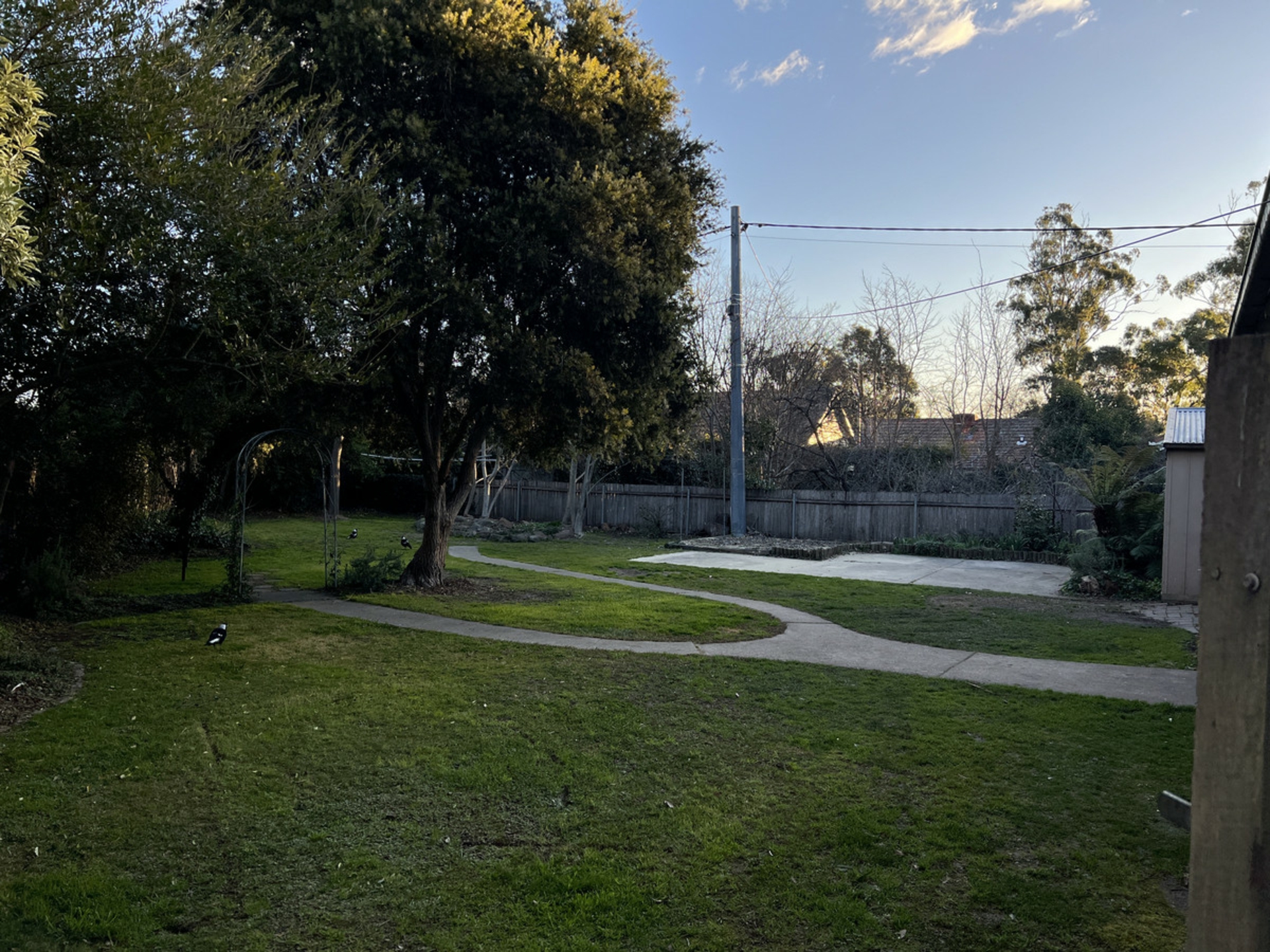 16 Cox Street, AINSLIE