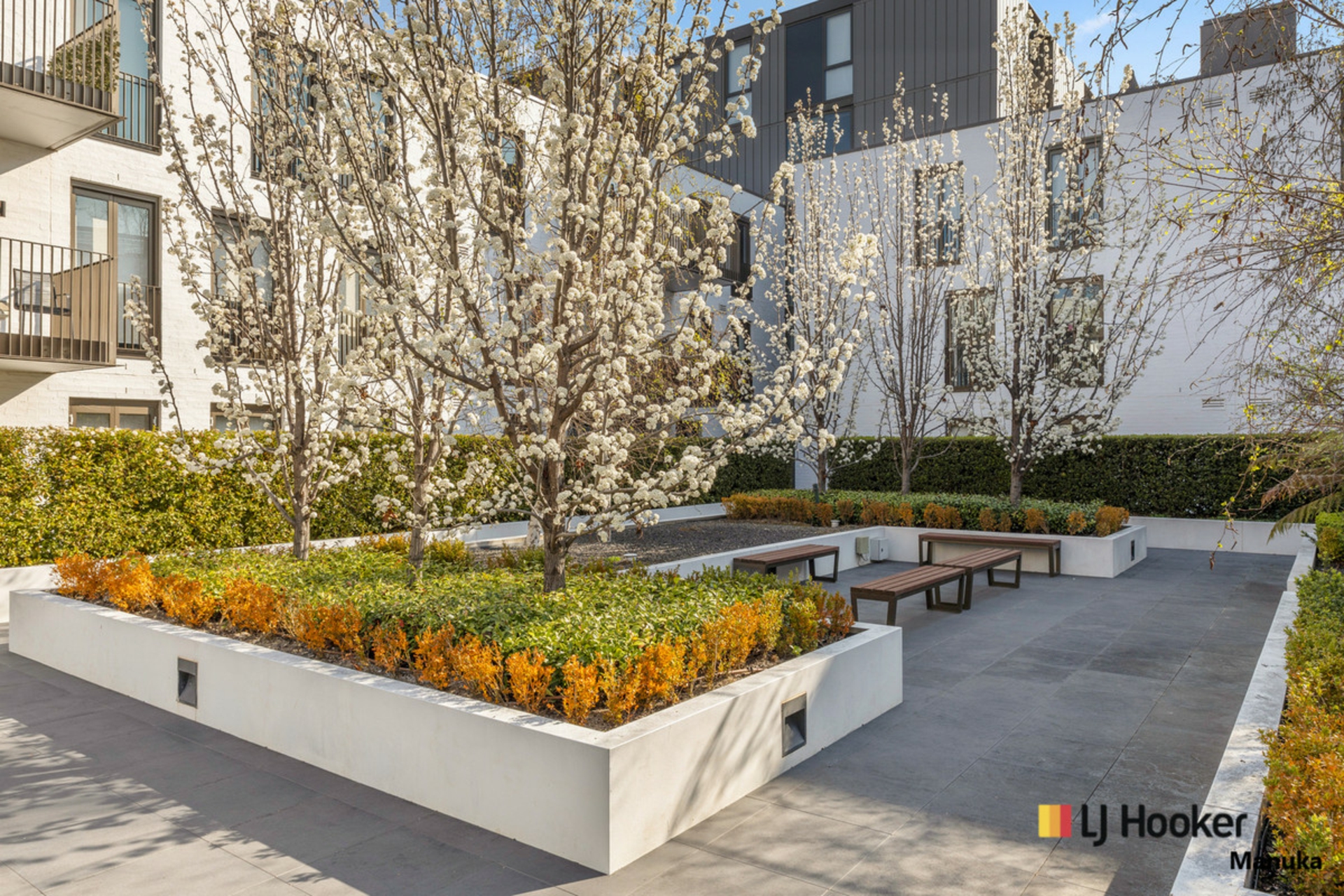 12/1 Kerridge Street, KINGSTON