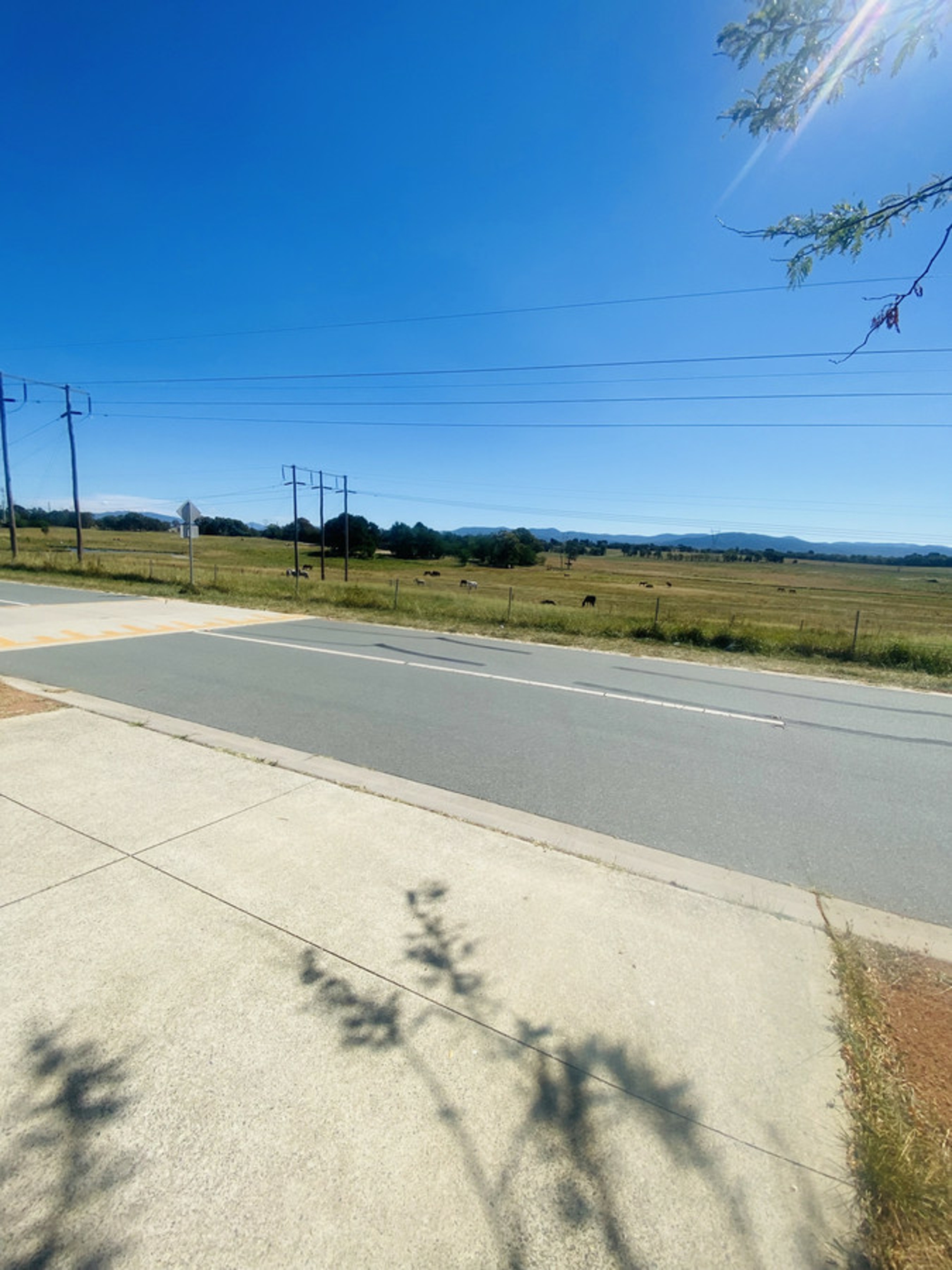 84 Hollows Circuit, MACGREGOR
