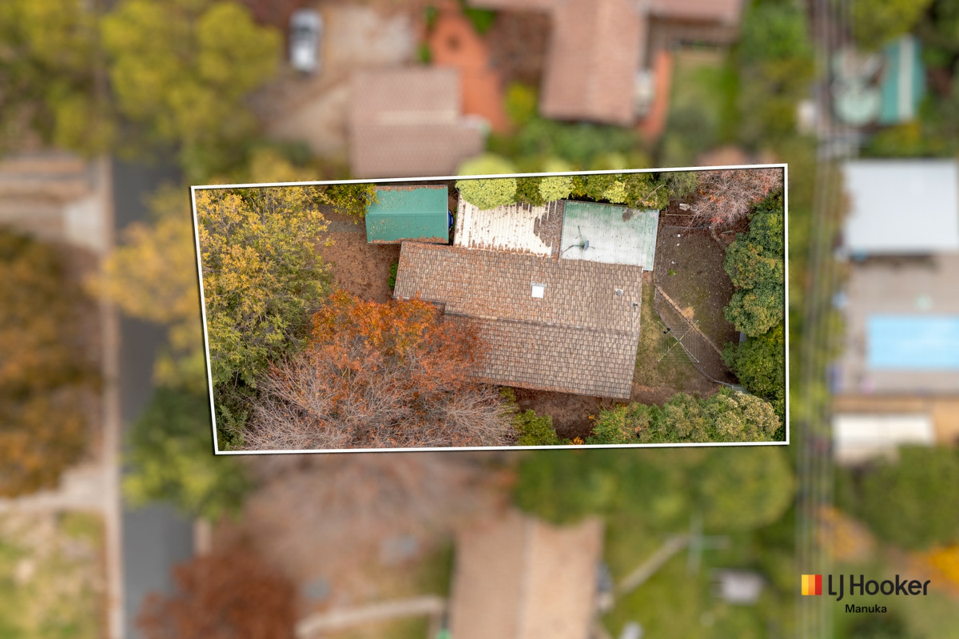 35 Eugenia Street — photo 18 of 22