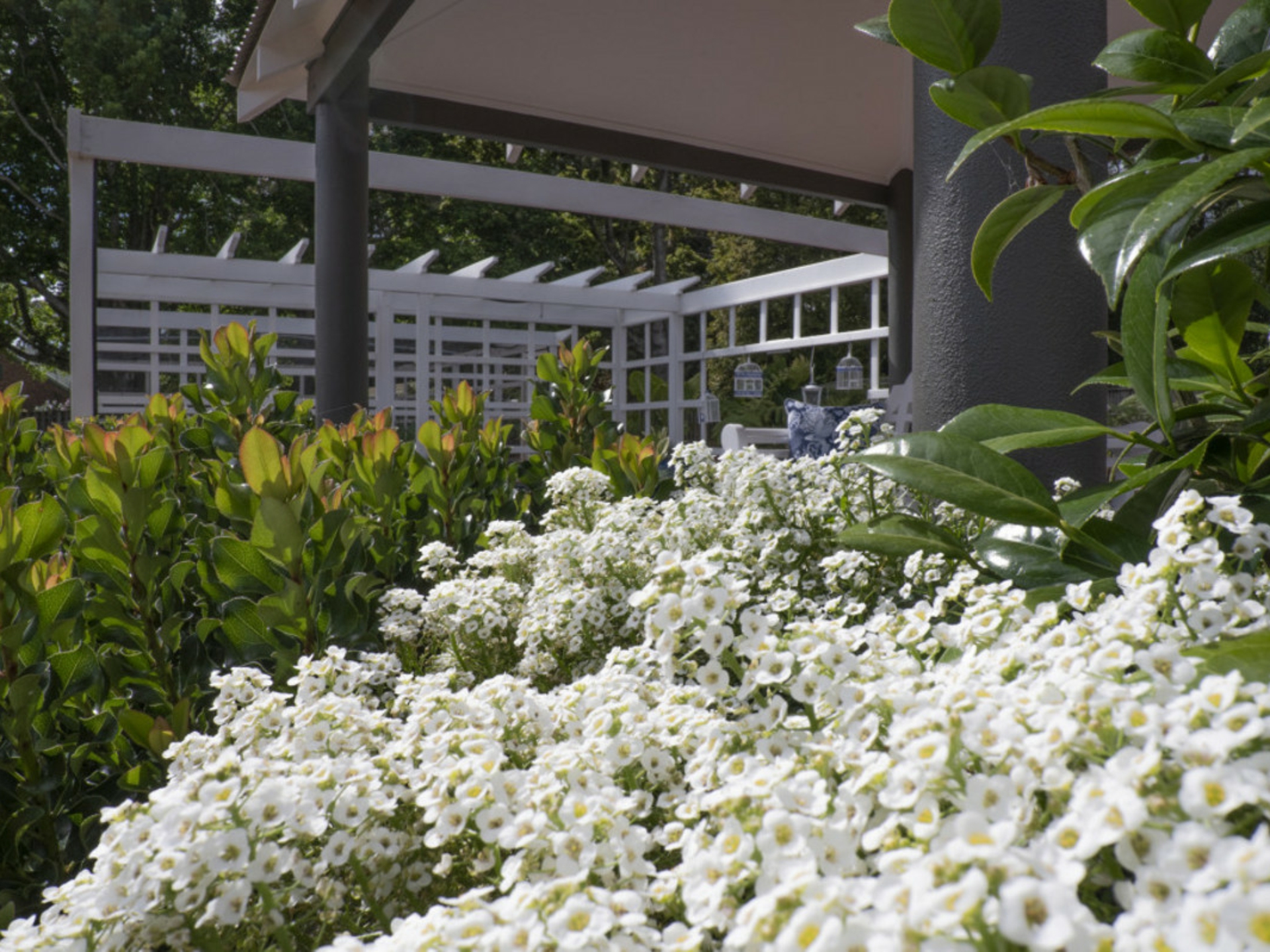 27-37 Normandie Court, TAMBORINE MOUNTAIN